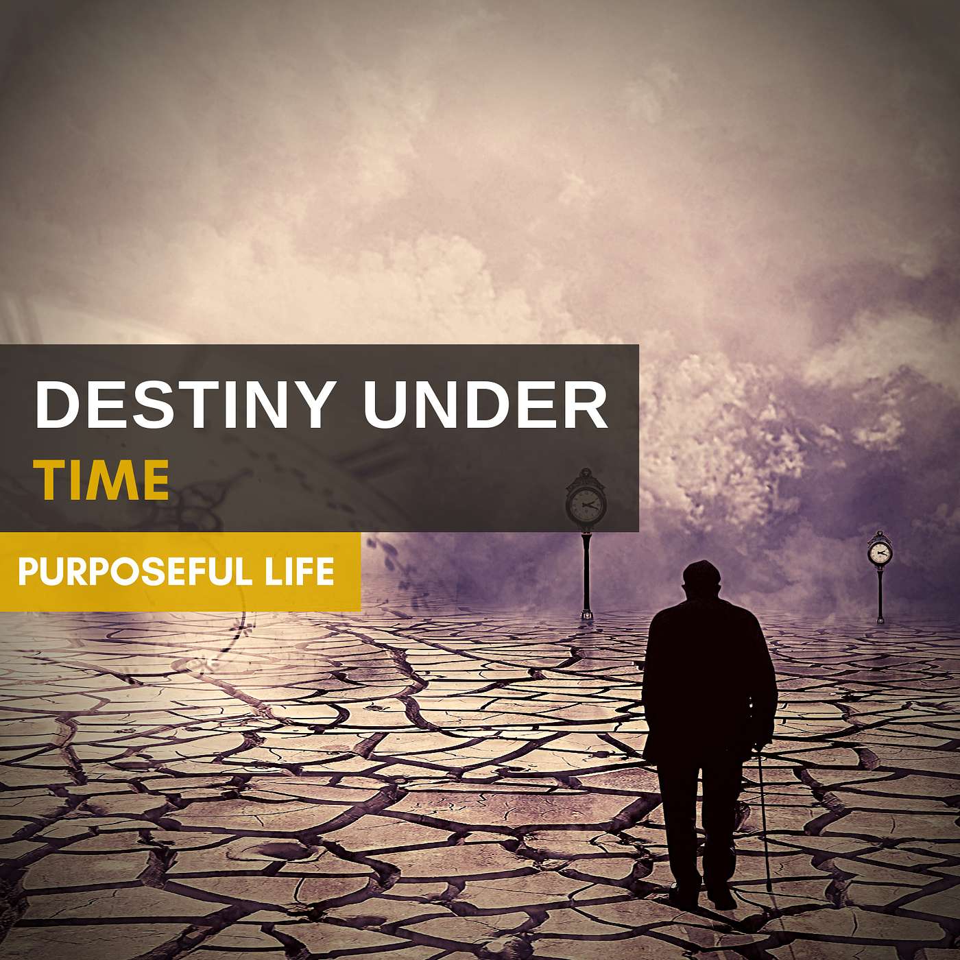 Purpose Driven-Life: Destiny Under Time