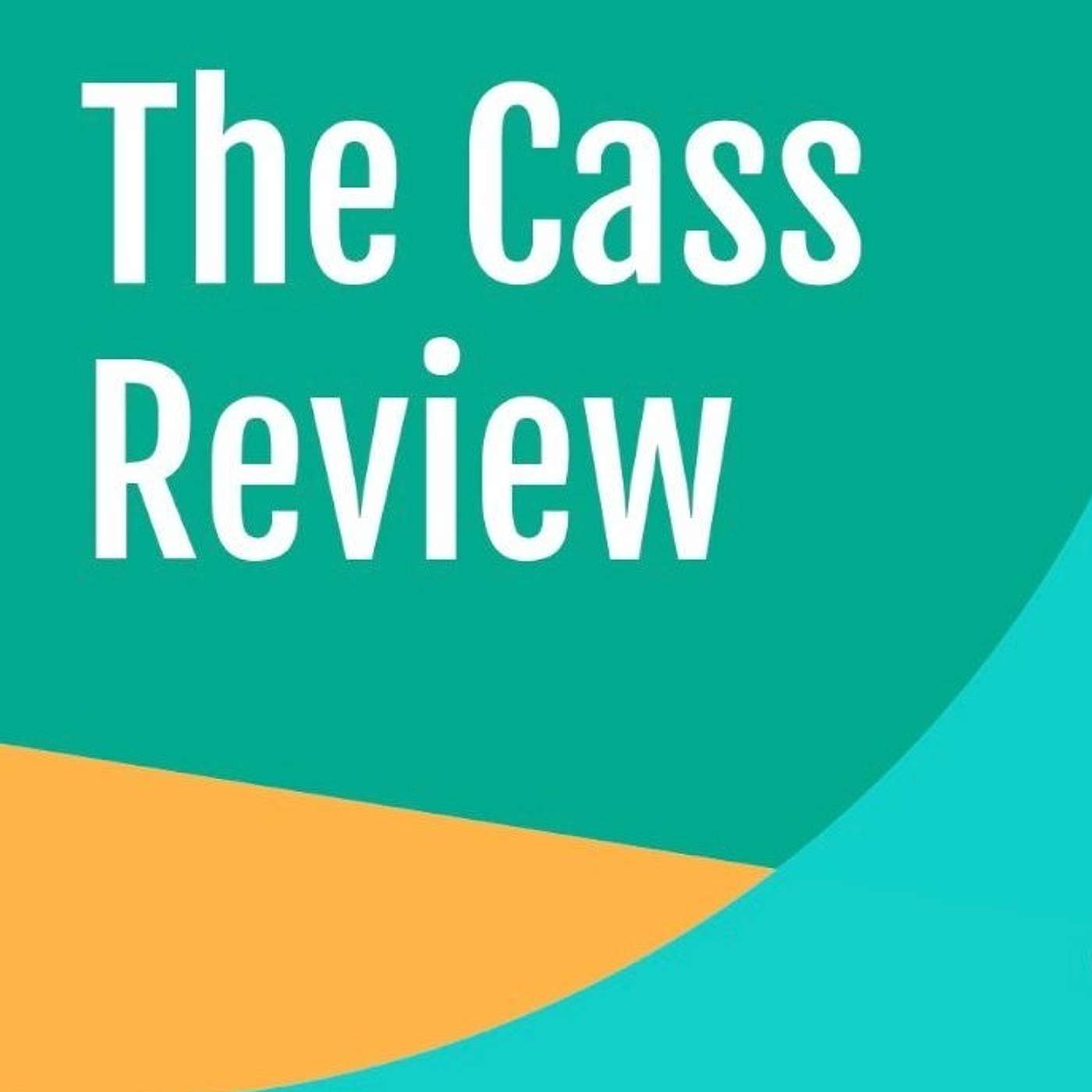Cass Review - WRN comment