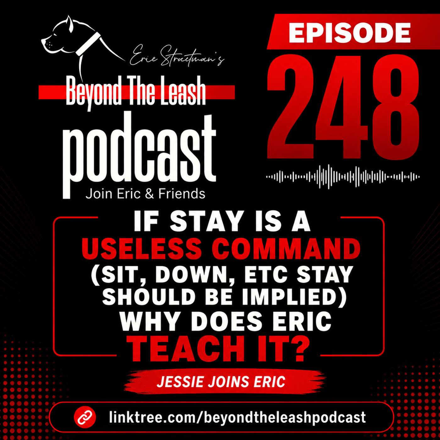 If stay is a useless command (sit, down, etc stay should be implied ) why does Eric teach it episode artwork