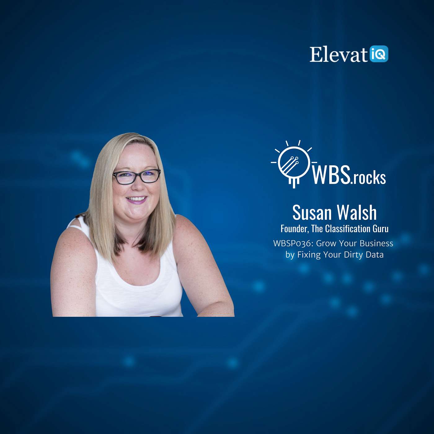 WBSP036: Grow Your Business by Fixing Your Dirty Data w/ Susan Walsh