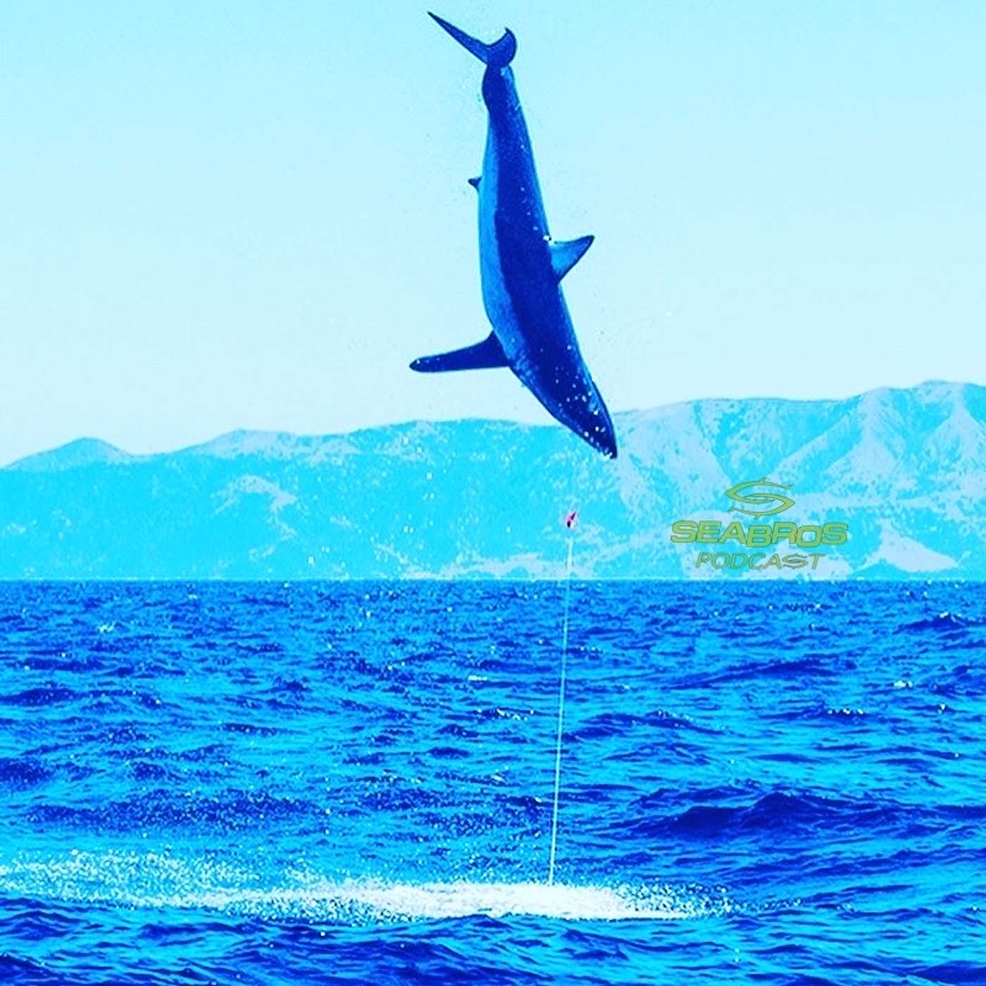 Capt. Conway Bowman - SoCal Fishing & Big Makos on Fly!