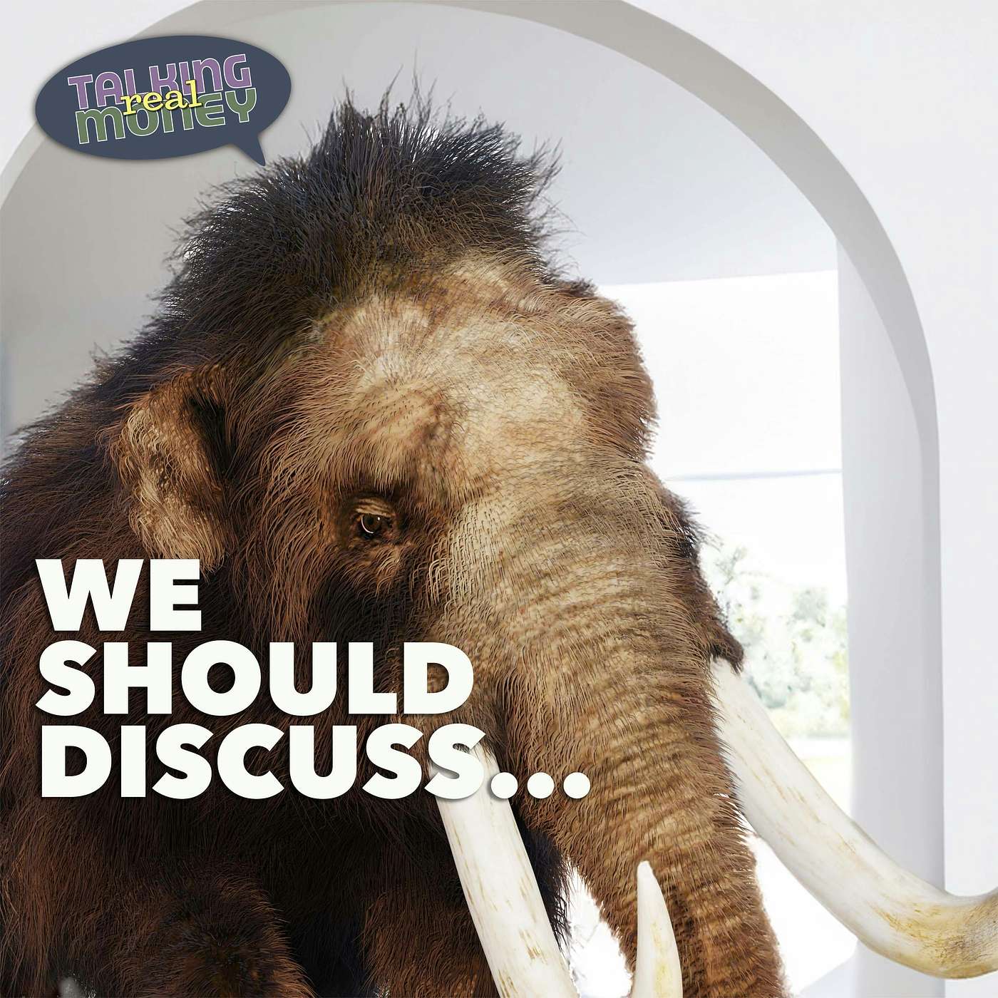 The Mammoth in the Room