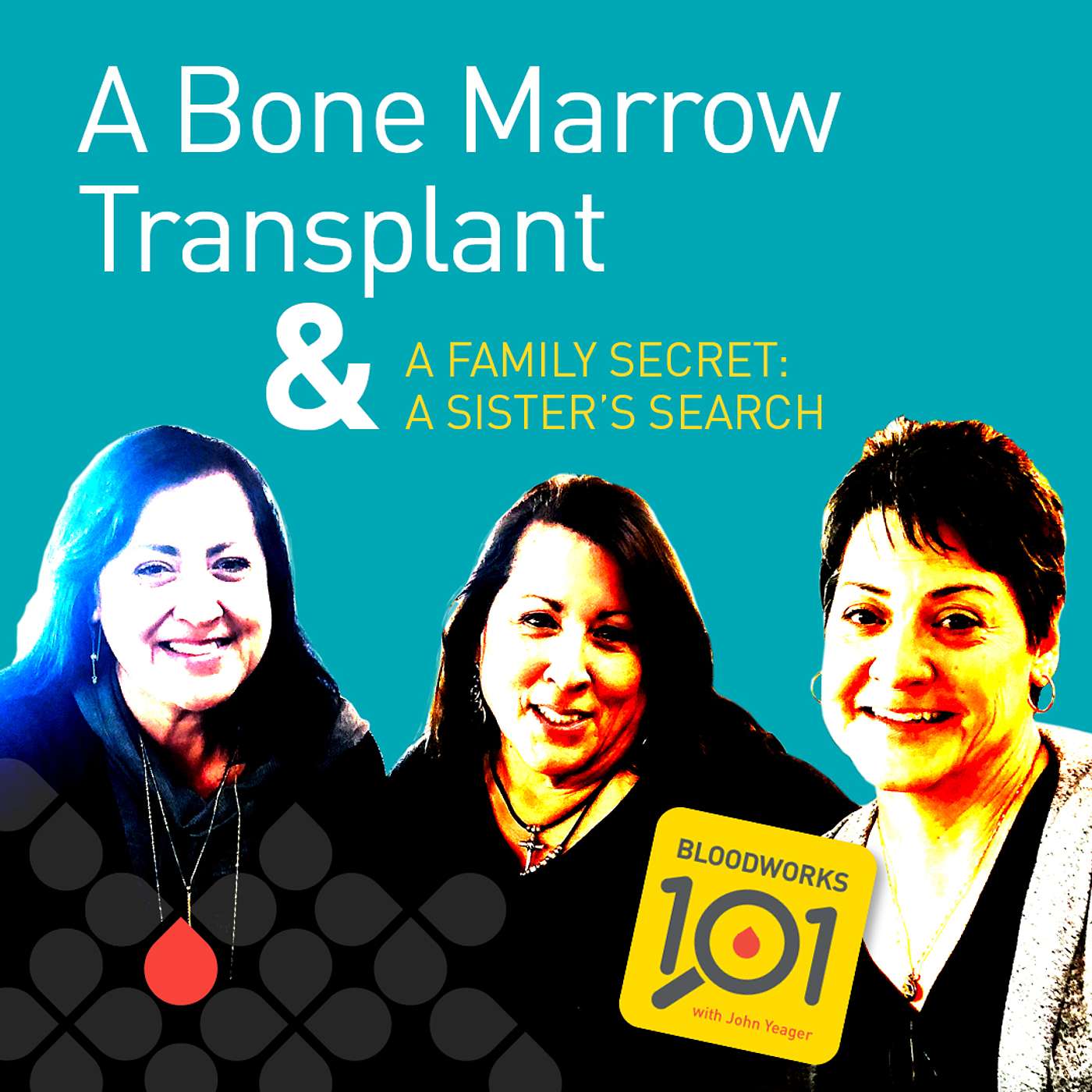 Hope, A Bone Marrow Transplant & A Family Secret: A Sister's Search (S3 E1) episode artwork