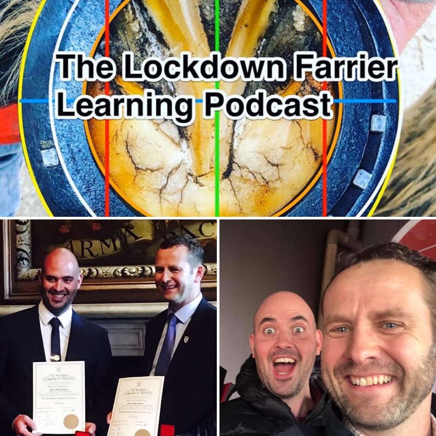 Episode 5 Suspensory Ligament Injuries with Mark Trussler FWCF & Siimon Moore FWCF episode artwork