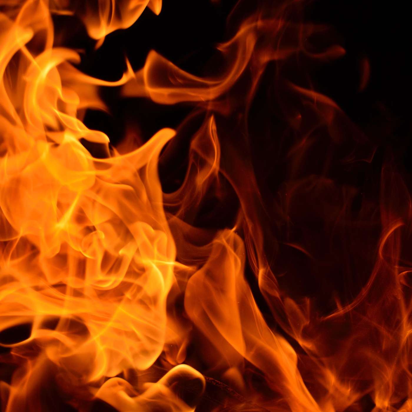 These Guys are on Fire These Guys are on Fire