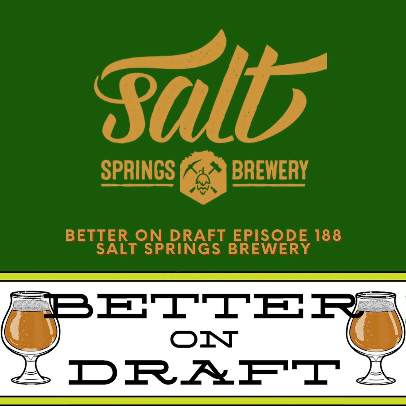 Salt Springs Brewery w/ Ed Brosius