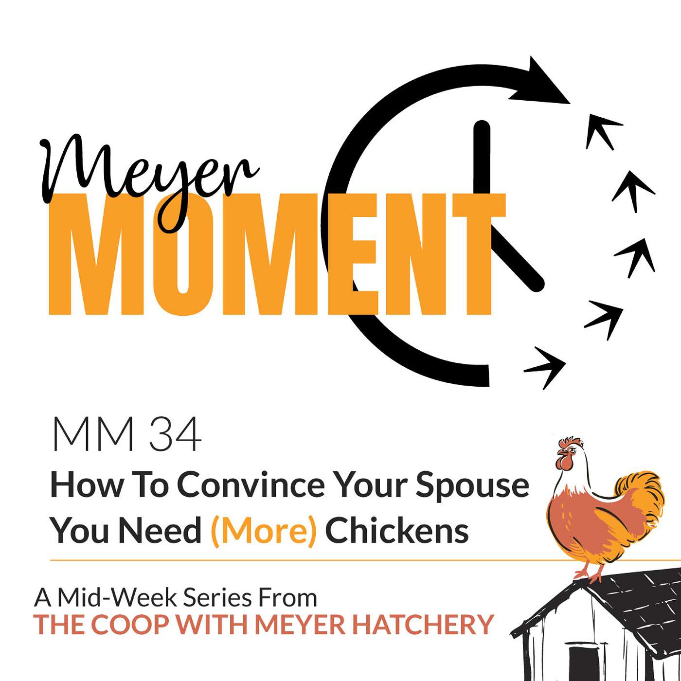 Meyer Moment: How To Convince Your Spouse You Need (More) Chickens