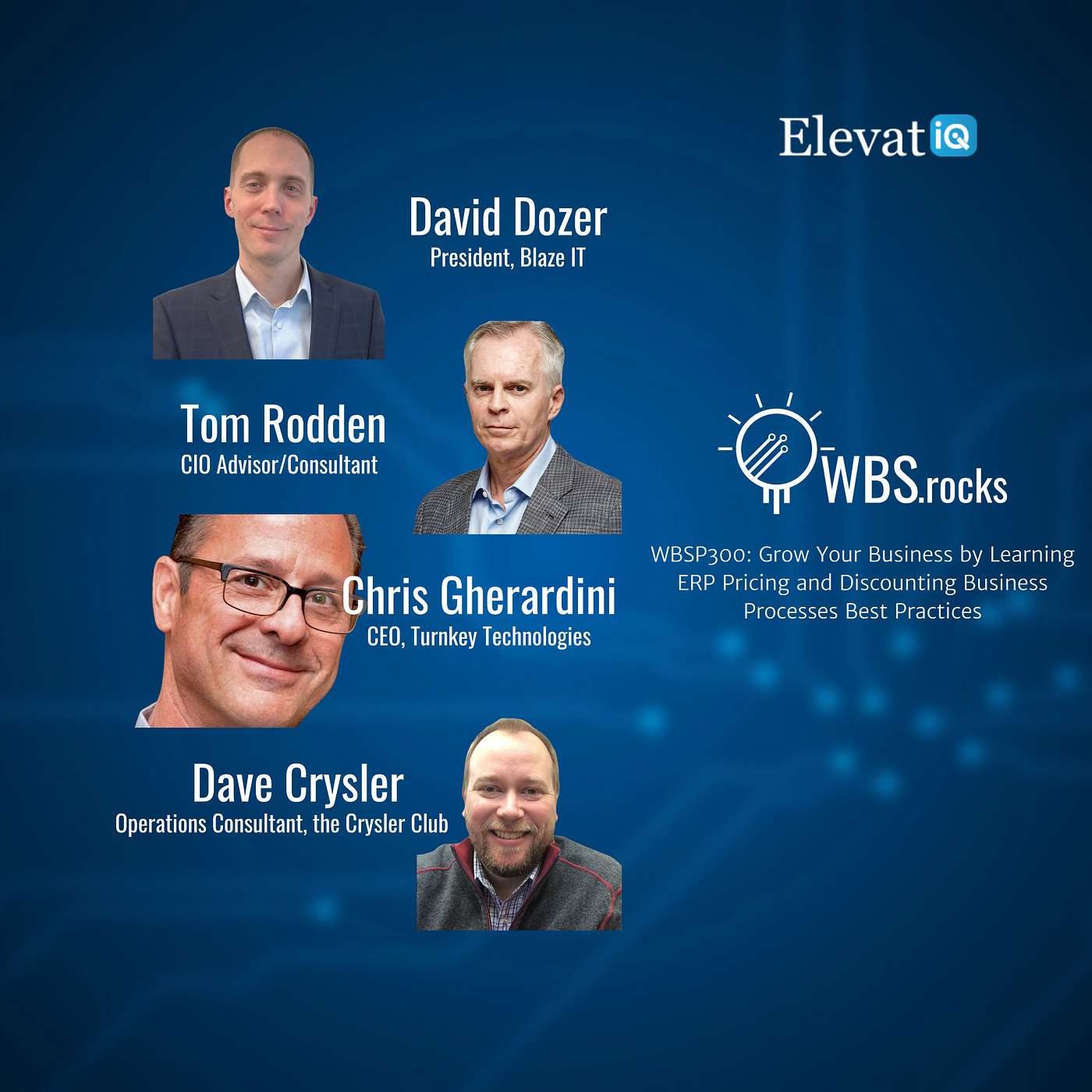 WBSP300: Grow Your Business by Learning ERP Pricing and Discounting Business Processes Best Practices, a Live Interview w/ a Panel of Experts