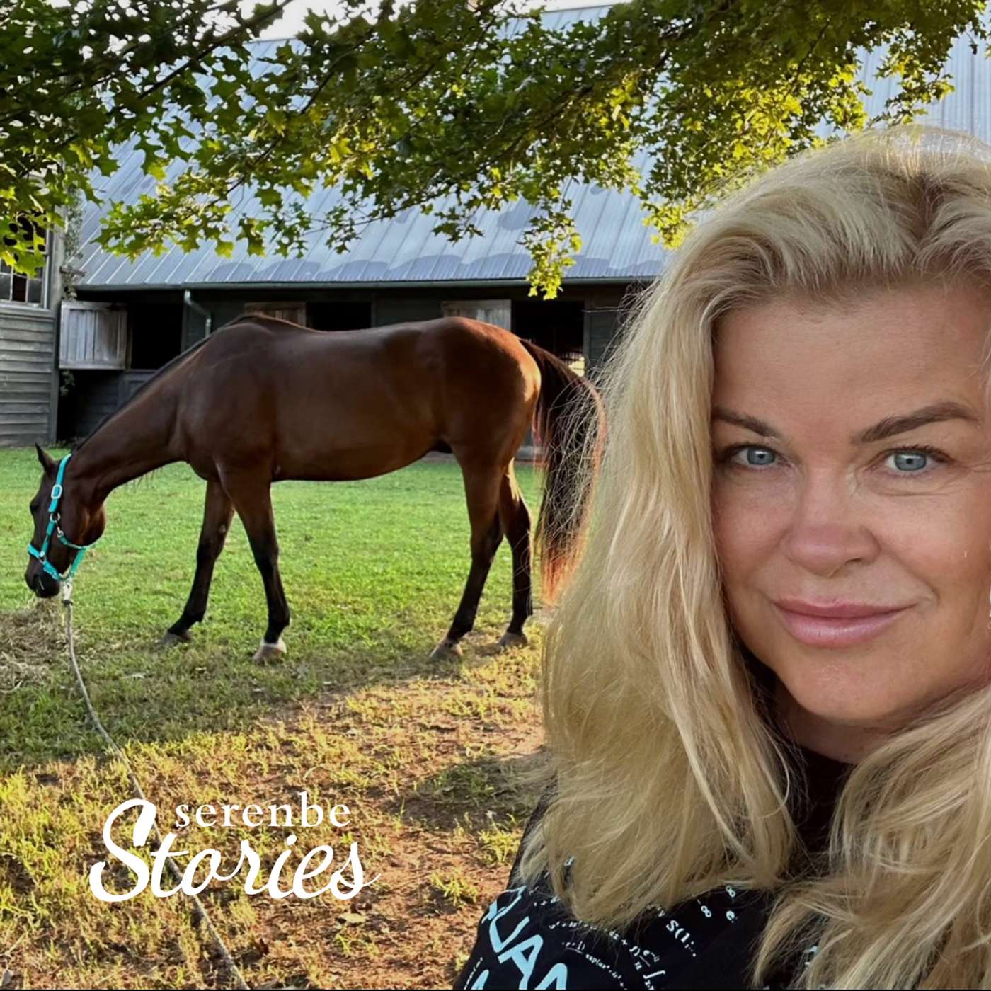 Serenbe Stories