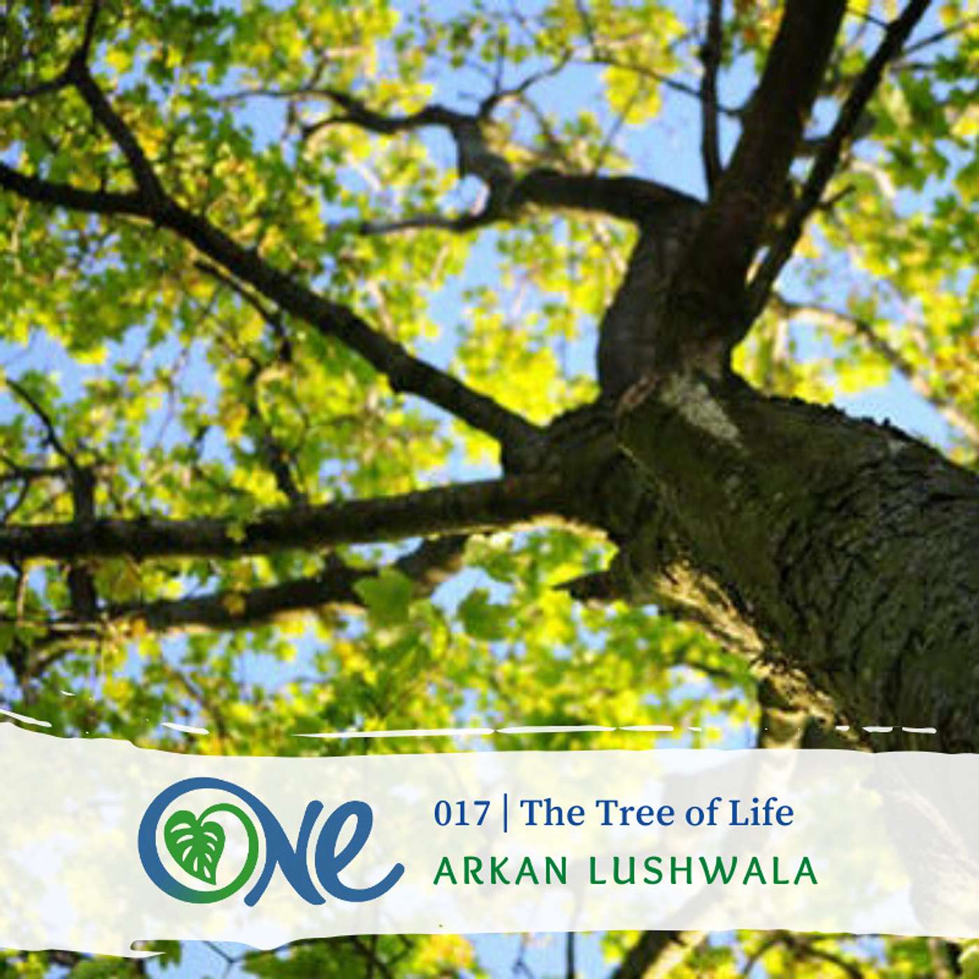 The Tree of Life with Arkan Lushwalla