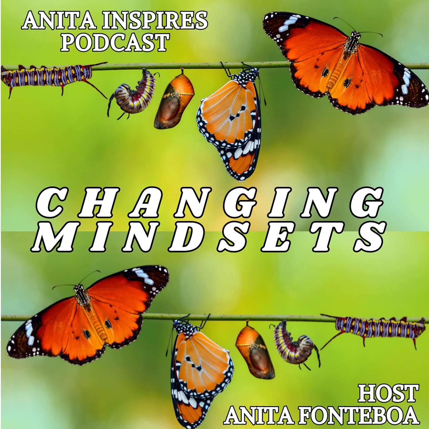 Anita Inspires