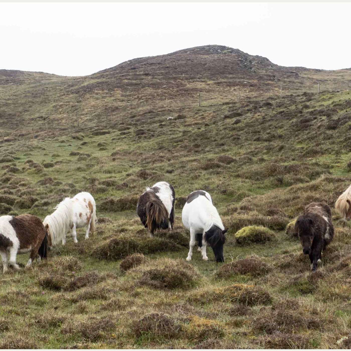 Jean & Mike Do The New York Times Crossword