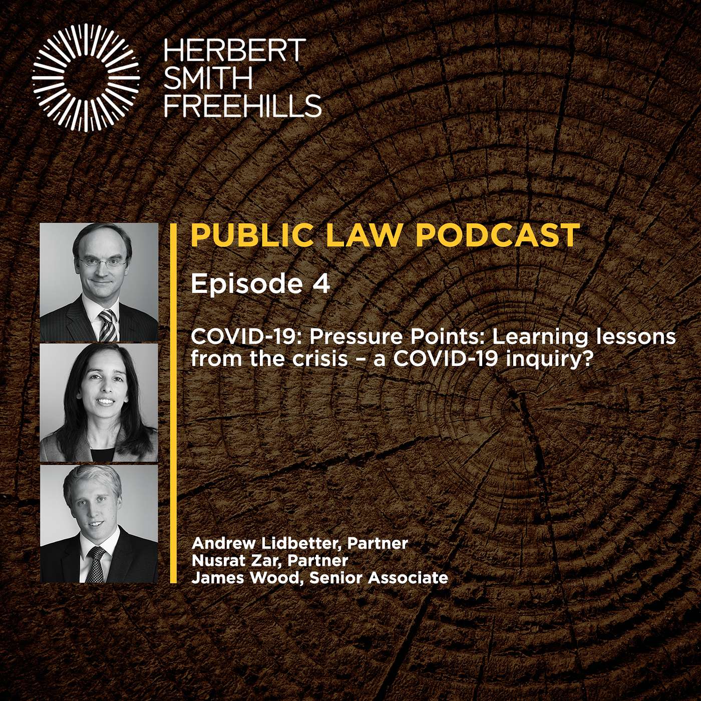 COVID-19: Pressure Points: Learning lessons from the crisis – a COVID-19 inquiry? episode artwork
