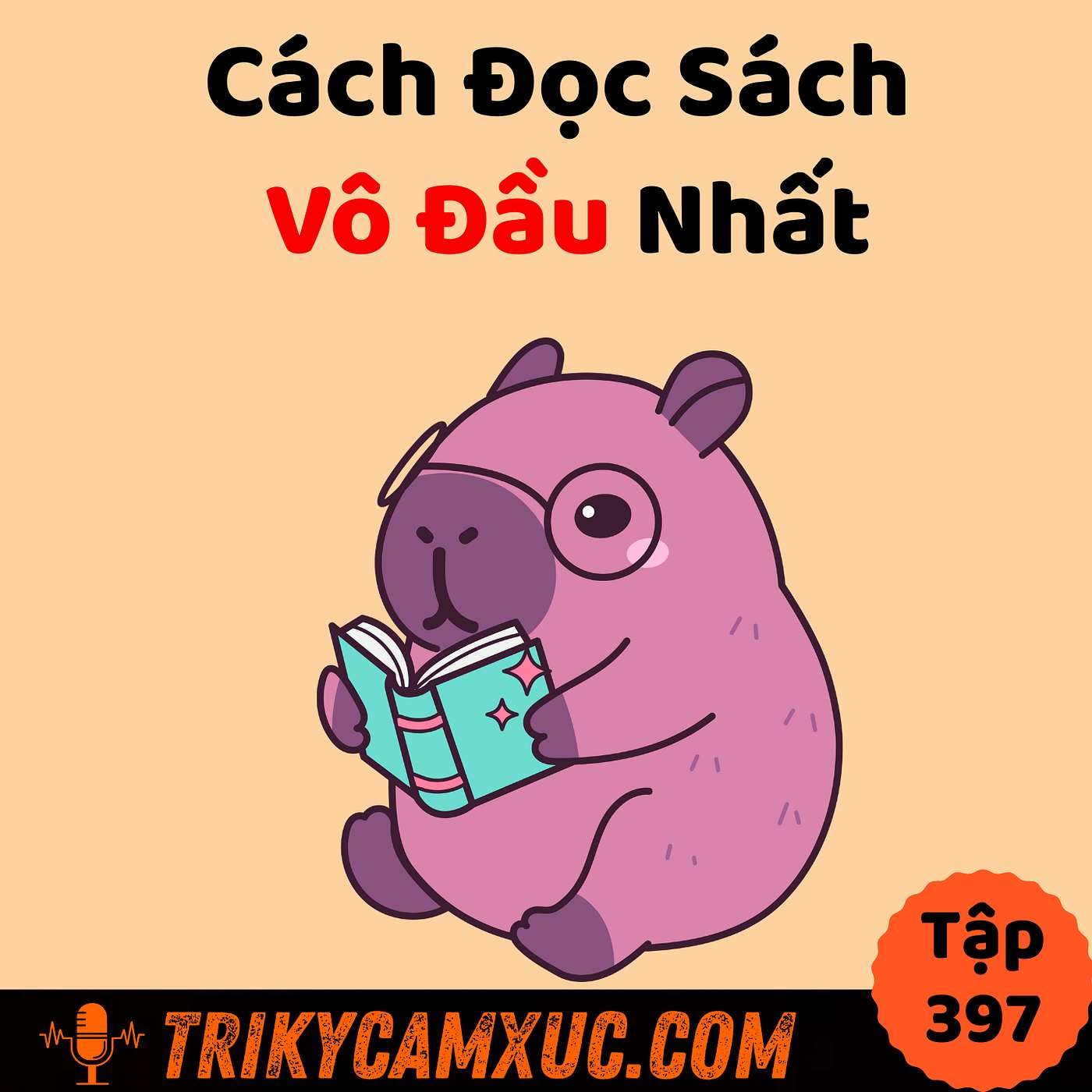 Cách Đọc Sách Vô Đầu Nhất - Tri Kỷ Cảm Xúc #397