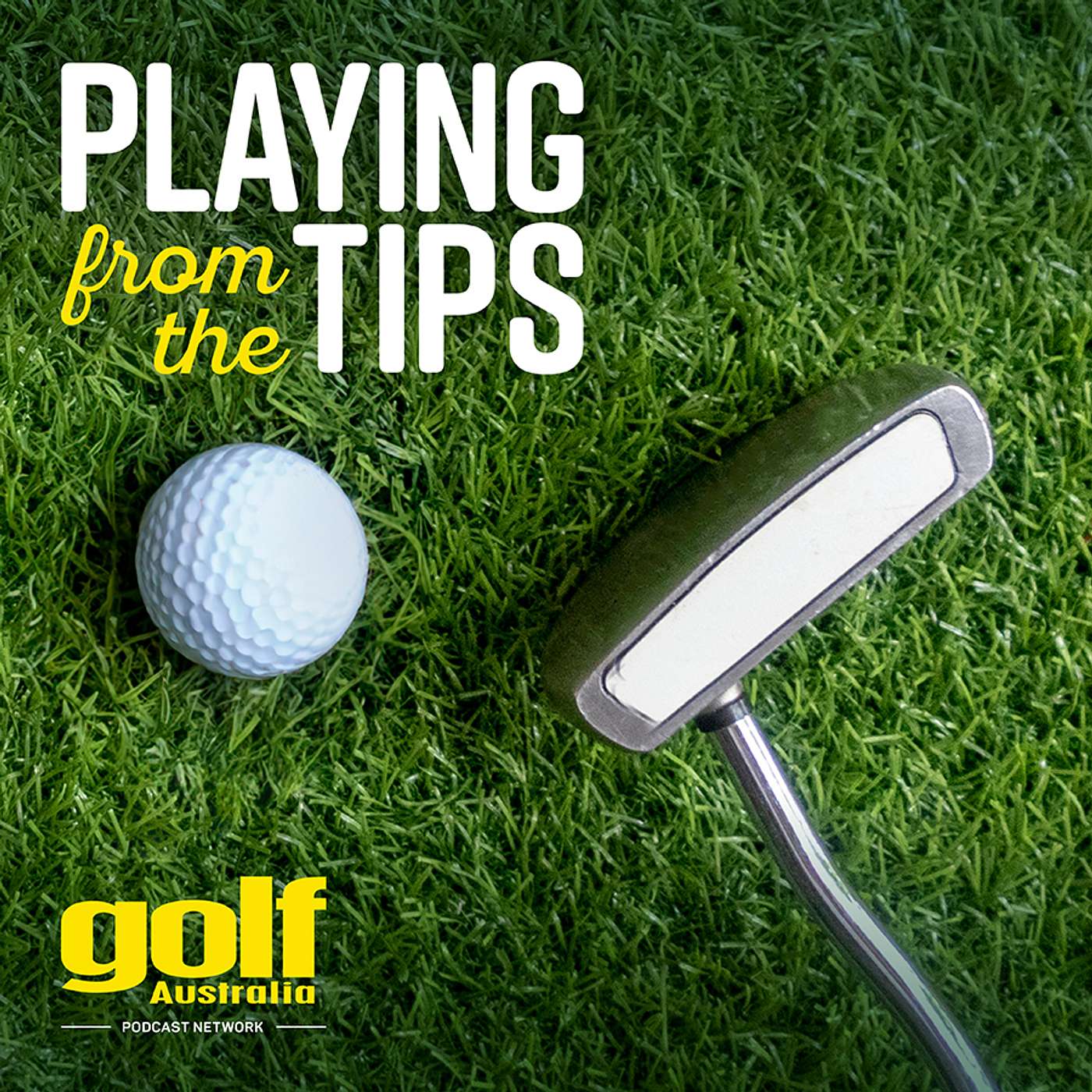 Playing From The Tips #78: Tour Championship, British Masters, FM Championship & more episode artwork