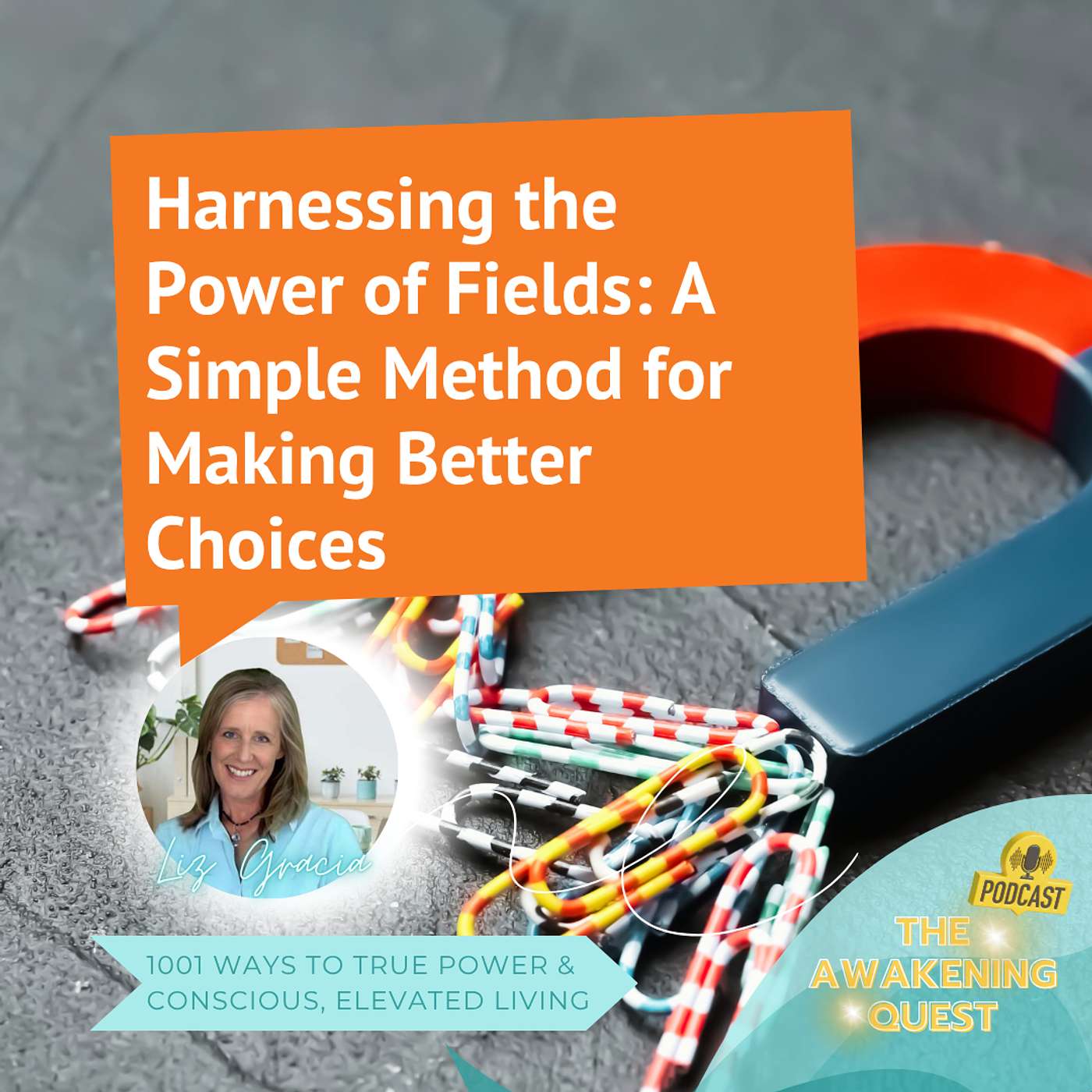 Harnessing the Power of Fields: A Simple Method for Making Better Choices episode artwork