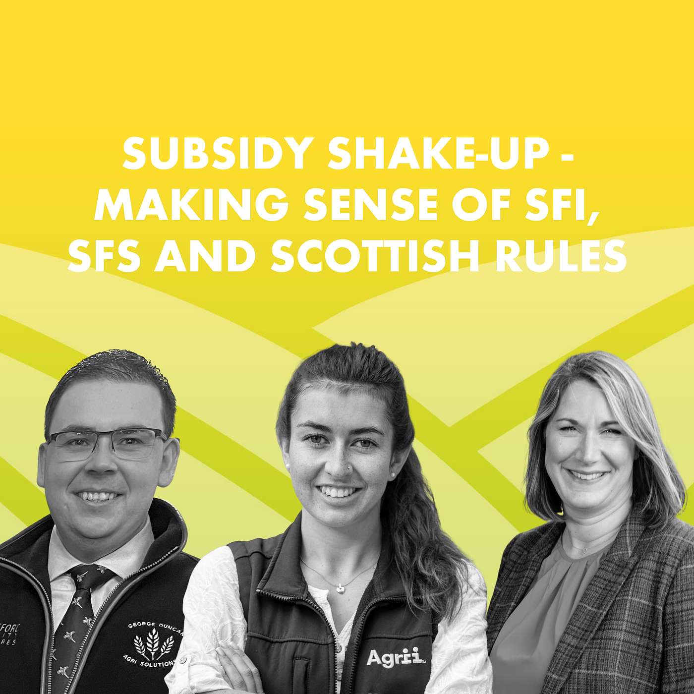 Subsidy Shake-Up - Making Sense of SFI, SFS and Scottish Rules
