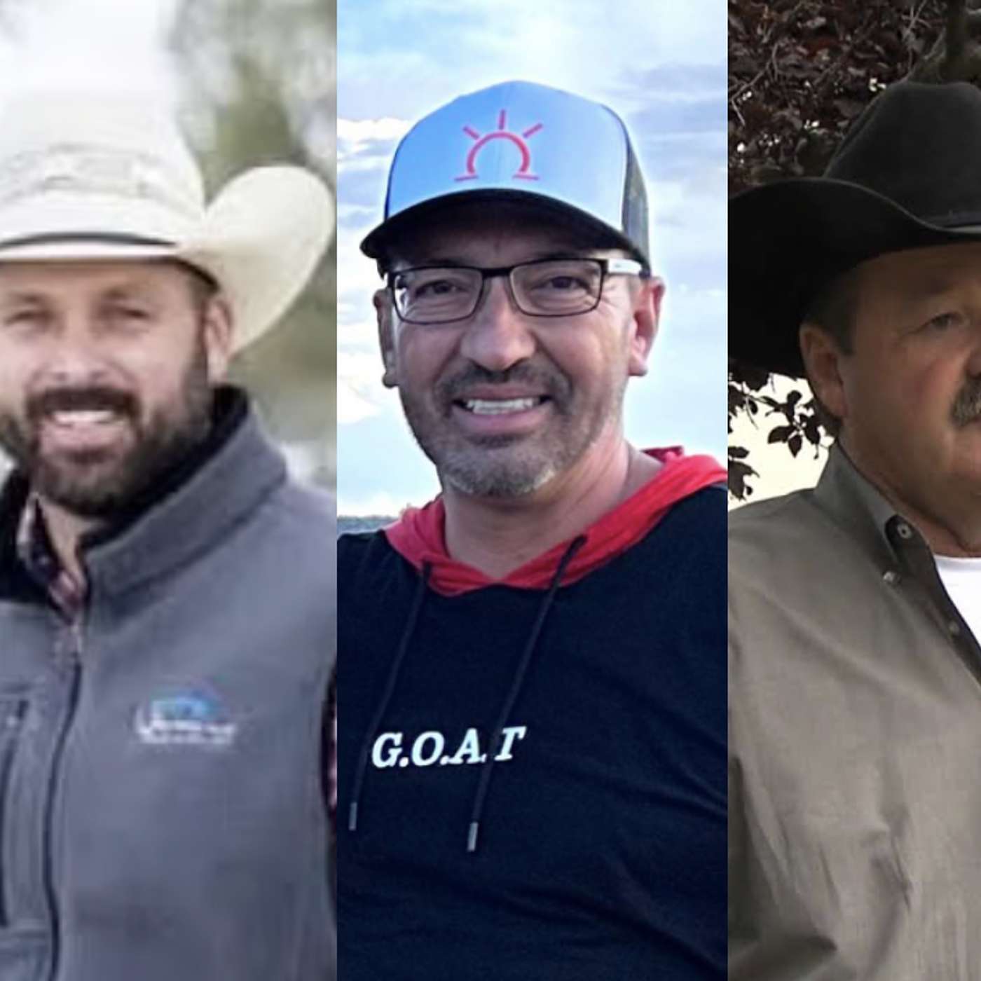 StallioneSearch Podcasts