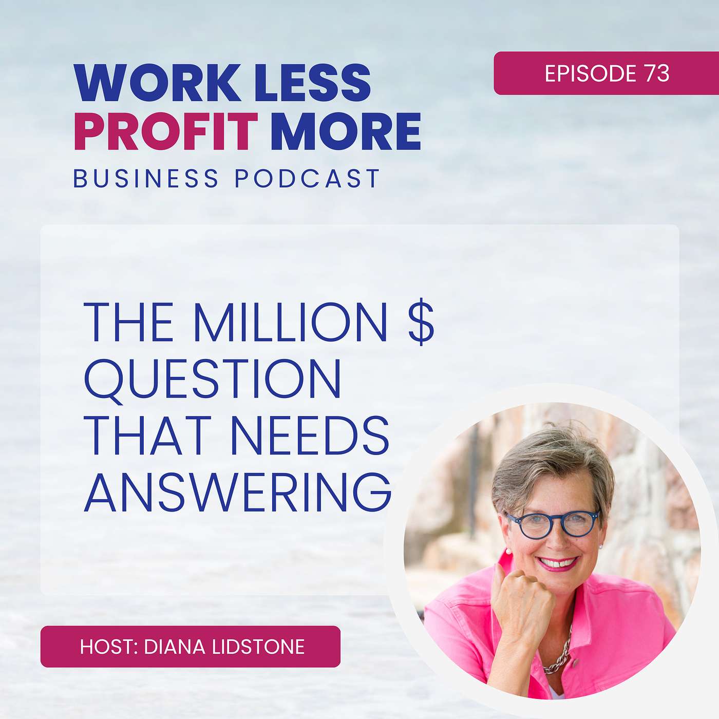 Work Less PROFIT More Business Podcast