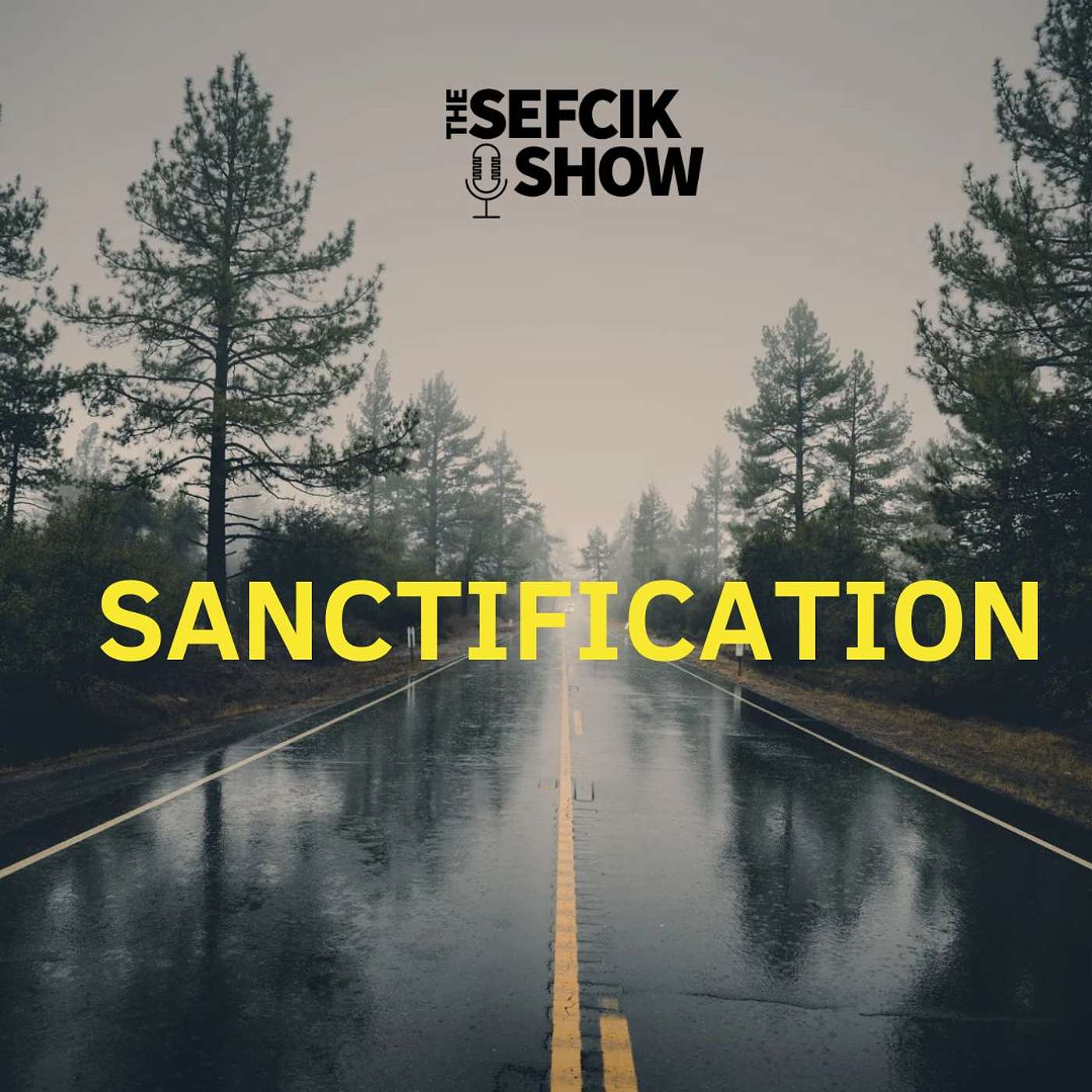 What is Sanctification episode artwork