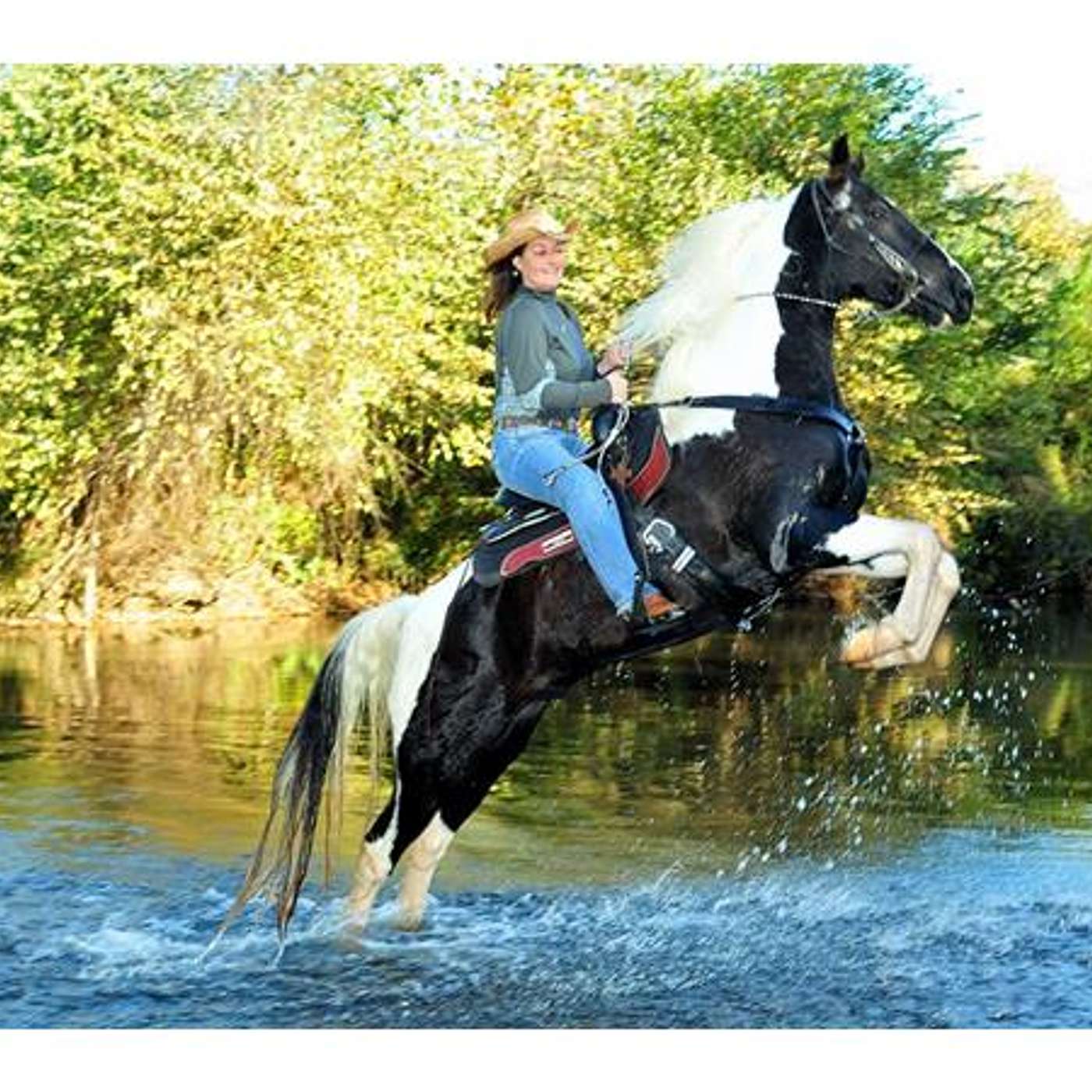 BUFFALO RIVER TRAIL RIDE & TRAIL BLAZER MAG. on SADDLE UP AMERICA!