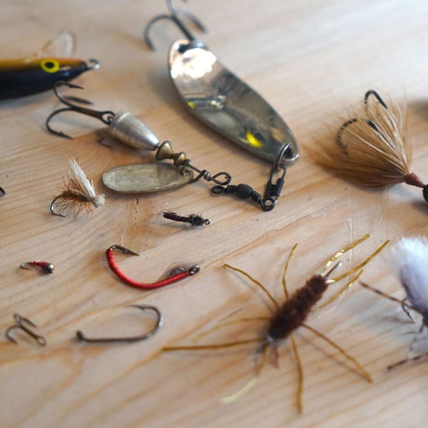 Fishing Bait: The Different Types and How to Choose