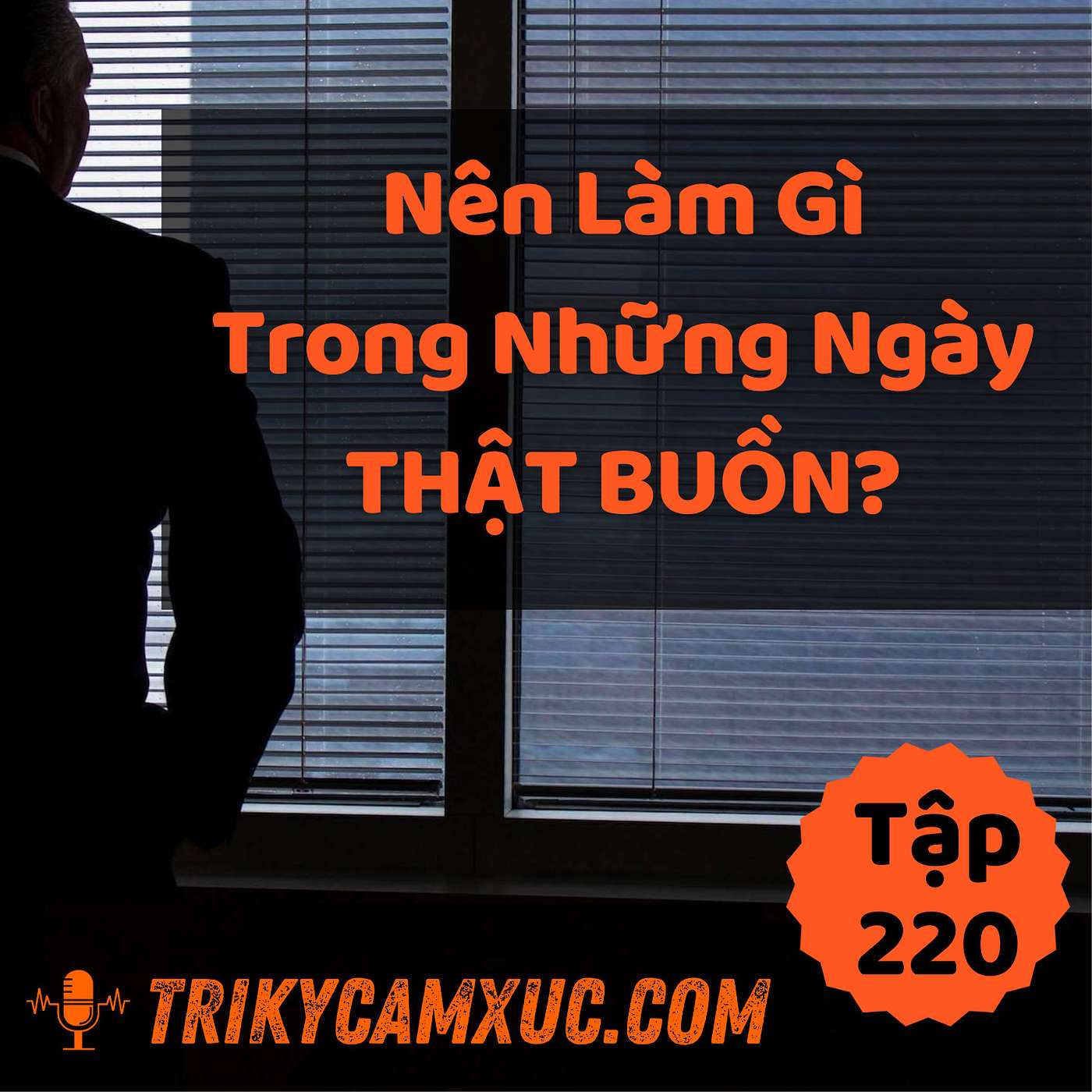 Nên Làm Gì Trong Những Ngày Thật Buồn? - Tri kỷ cảm xúc #220