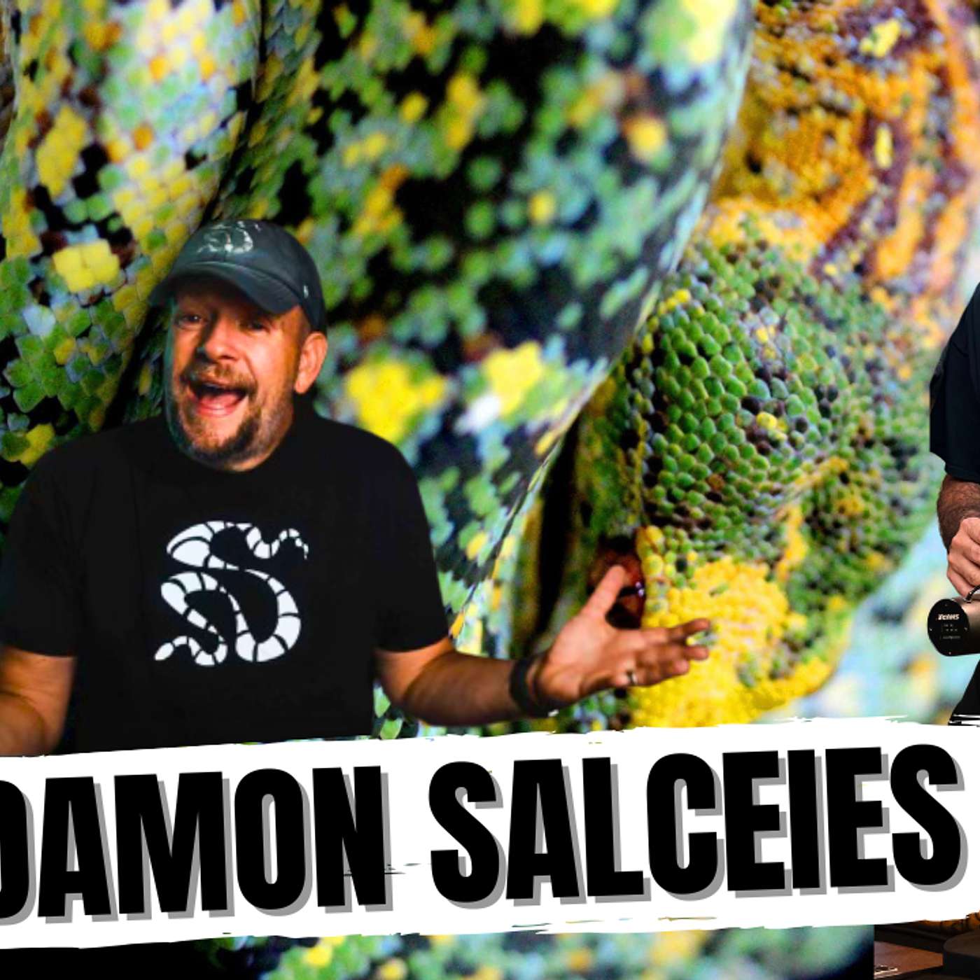 DAMON SPEAKS ON PRODUCING THE VERY FIRST ALBINO GREEN TREE PYTHON | ALL IN THE TREE TUESDAY LIVE