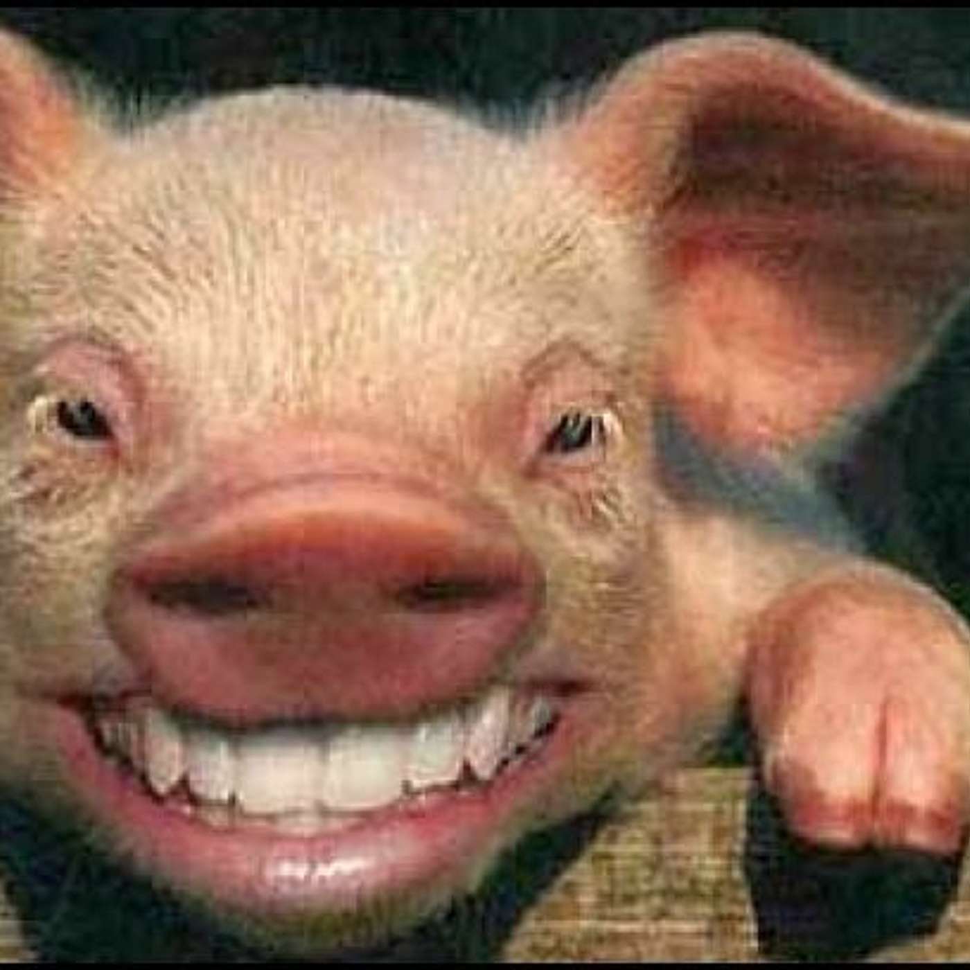 Episode 811 - Don't BE a Pig