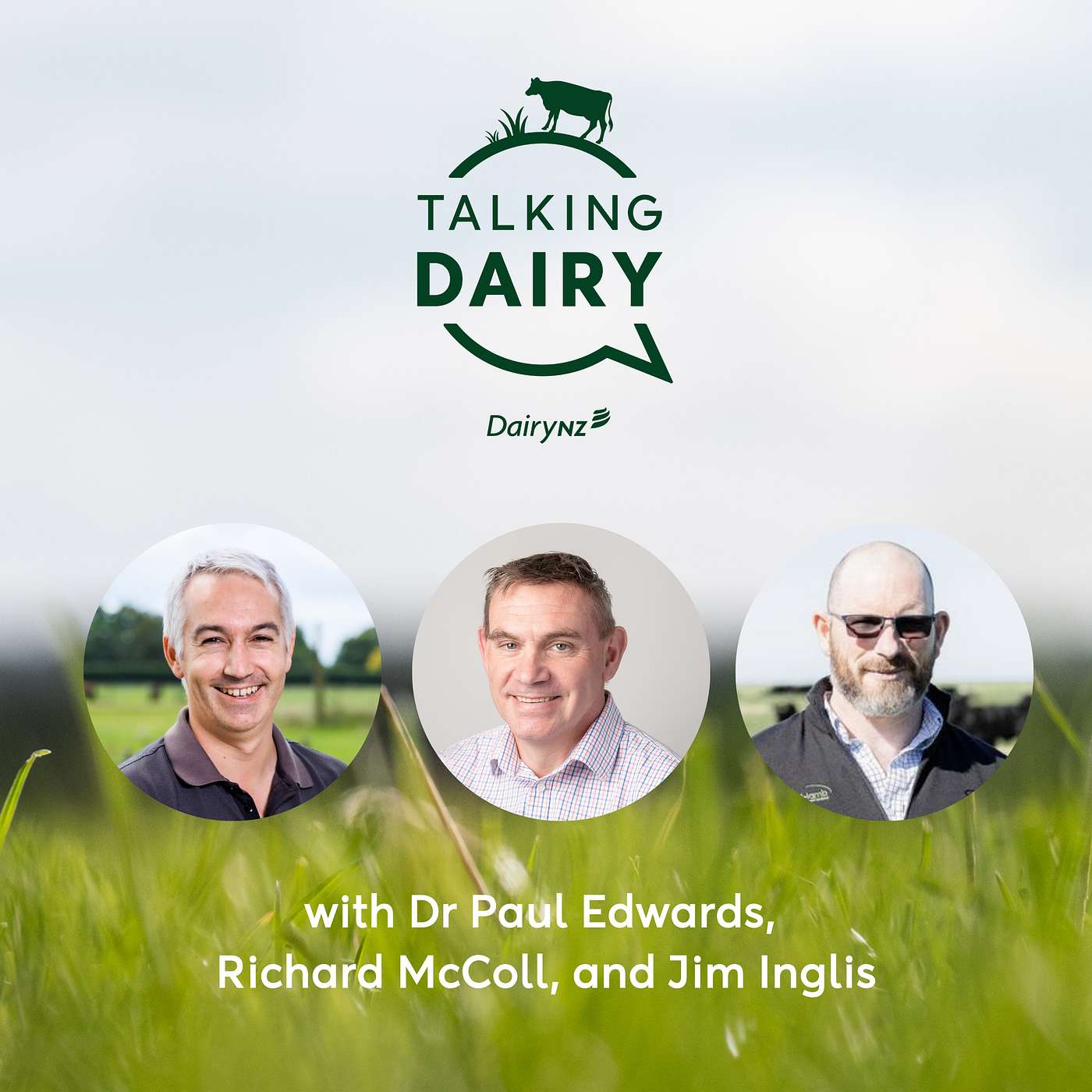 Finding opportunities with dairy beef | Ep. 125
