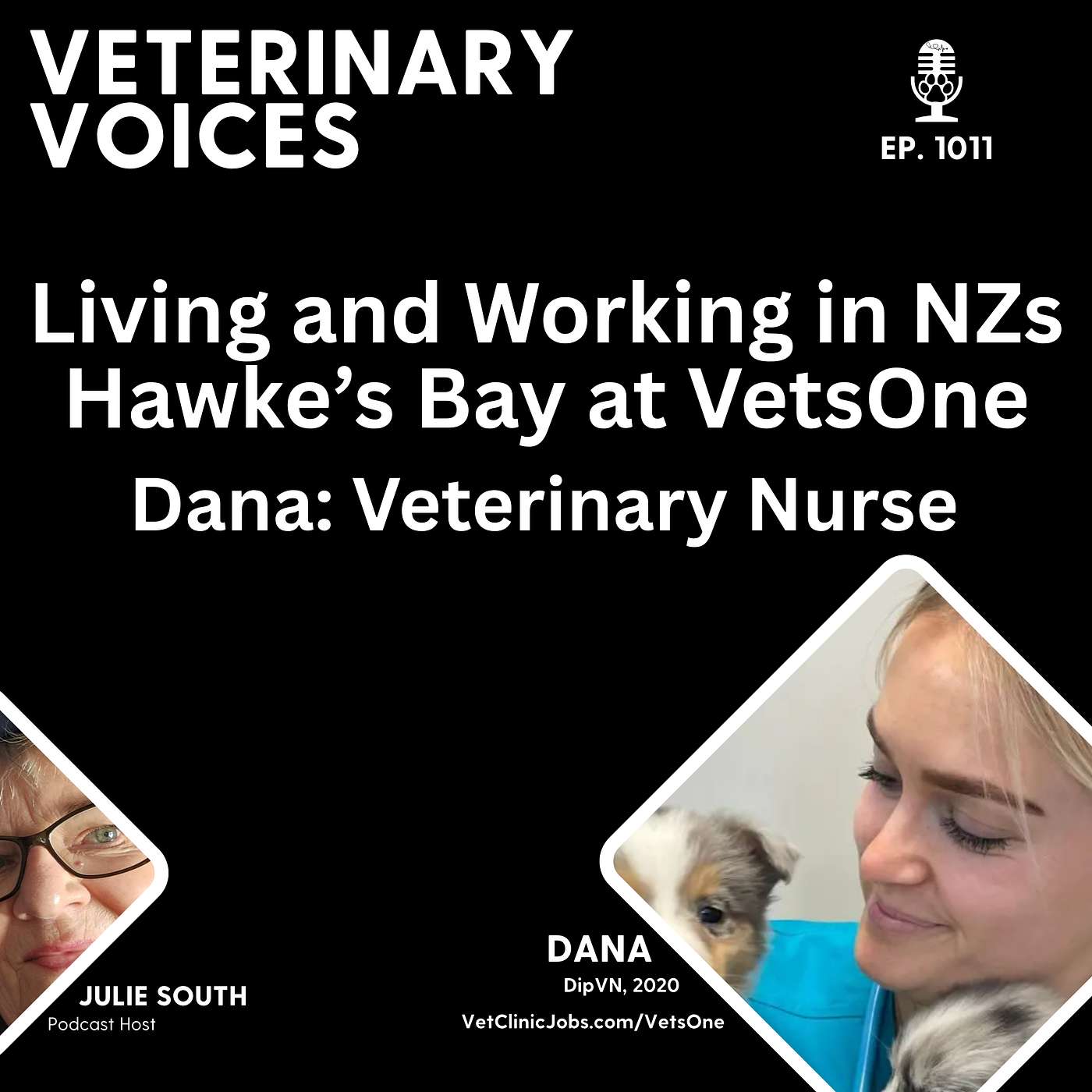 Vet Clinic Employer of Choice: VetsOne - Hawke's Bay NZ - Vet Nurse Dana | ep.1011 Vet Clinic Employer of Choice: VetsOne - Hawke's Bay NZ - Vet Nurse Dana | ep.1011