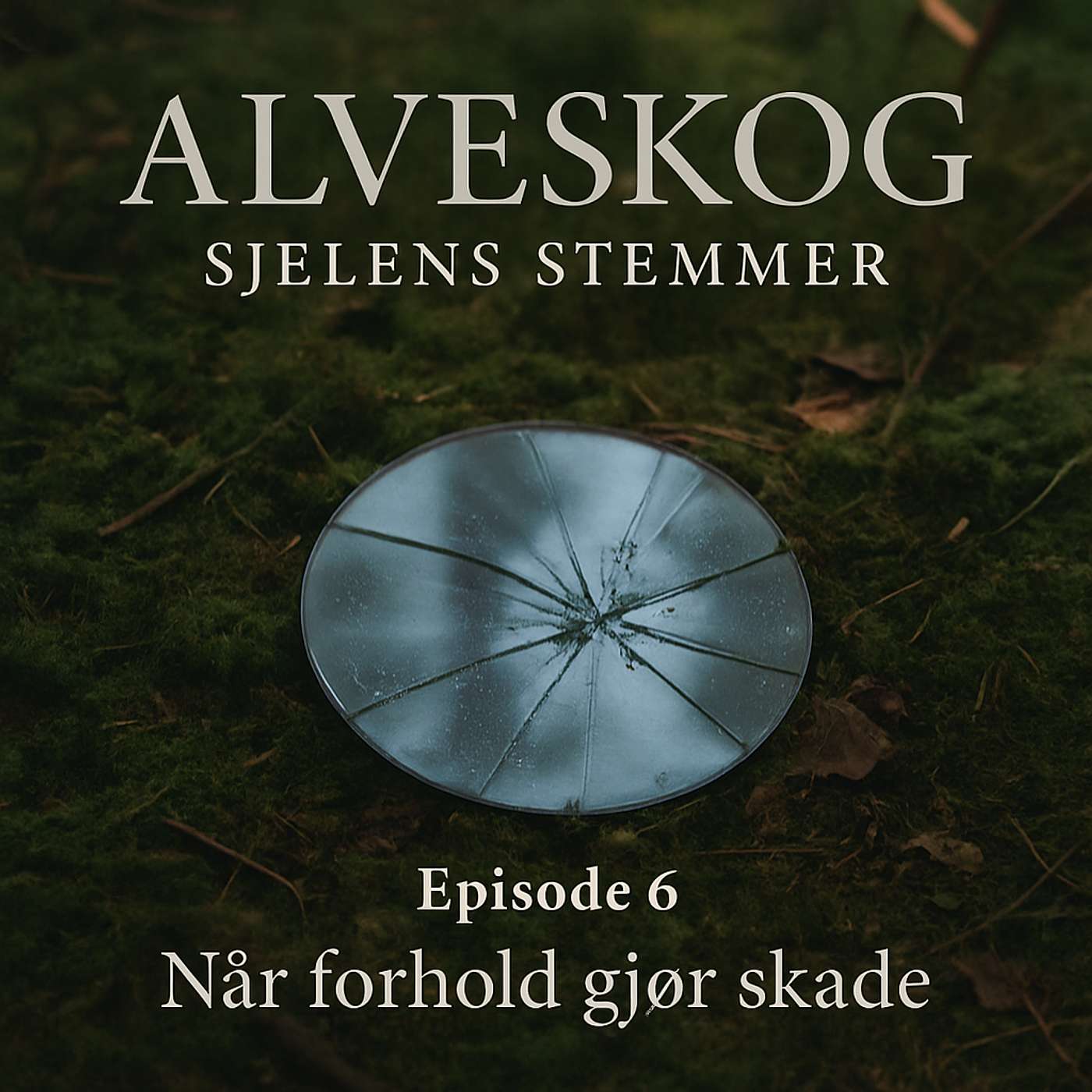 Alveskog - Sjelens stemmer