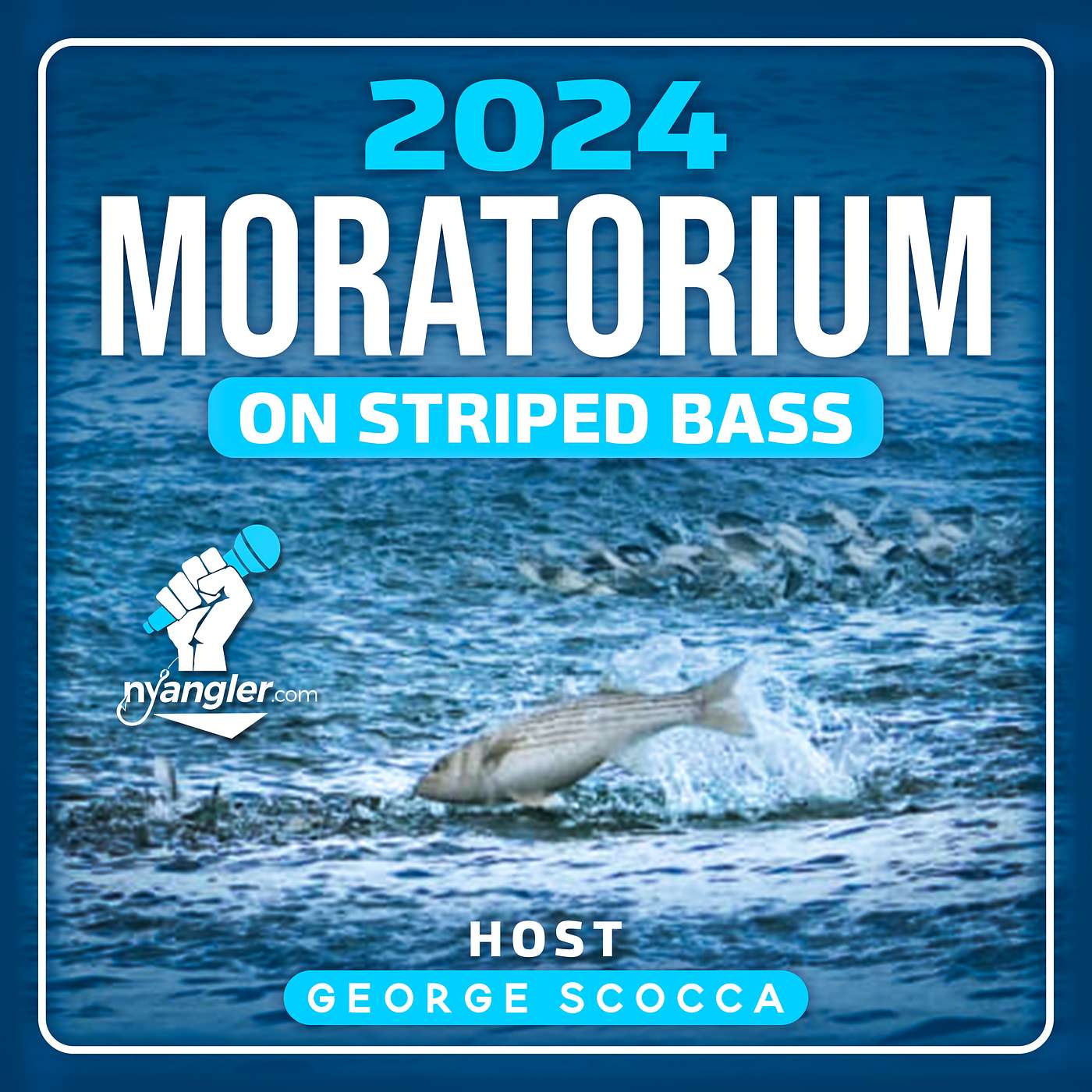 2024 Striped Bass Moratorium 