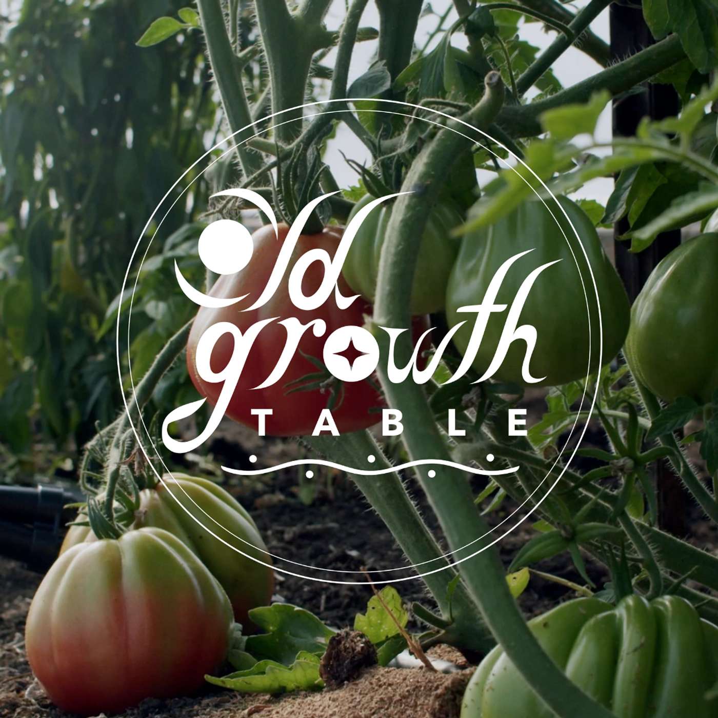 When Food Is a Right, Not a Ration