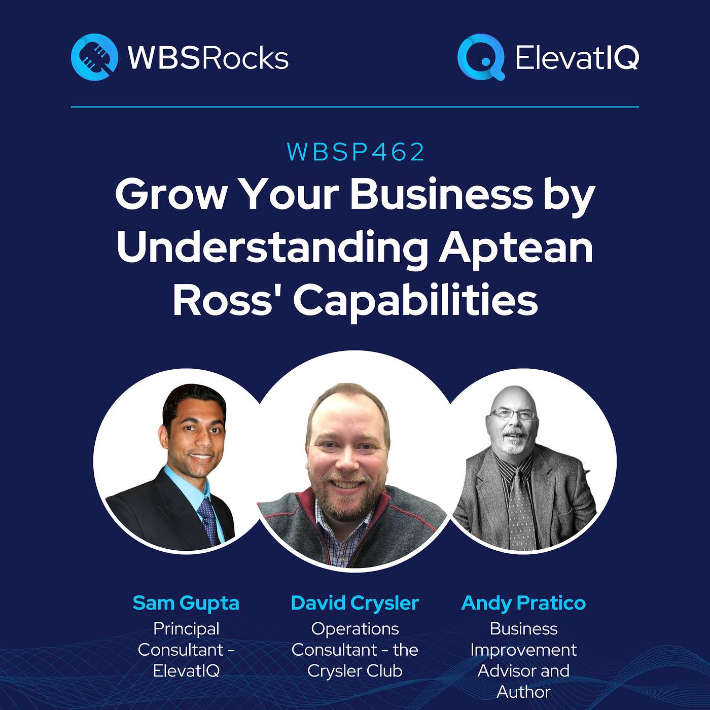 WBSP462: Grow Your Business by Understanding Aptean Ross’ Capabilities, an Objective Panel Discussion