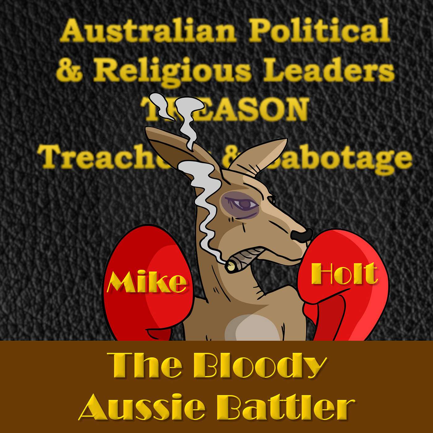 The Mike Holt Show