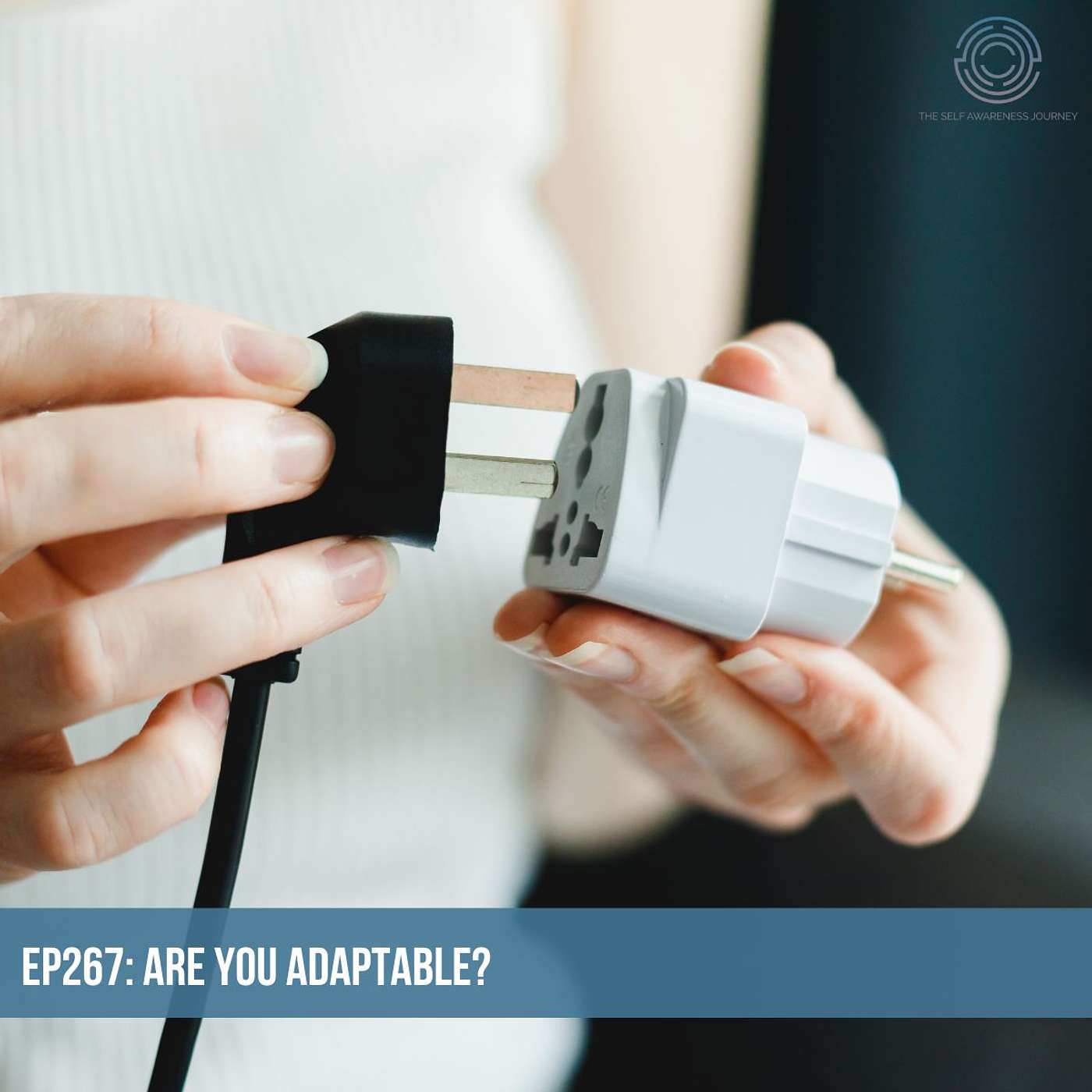 EP267 - Are You Adaptable?