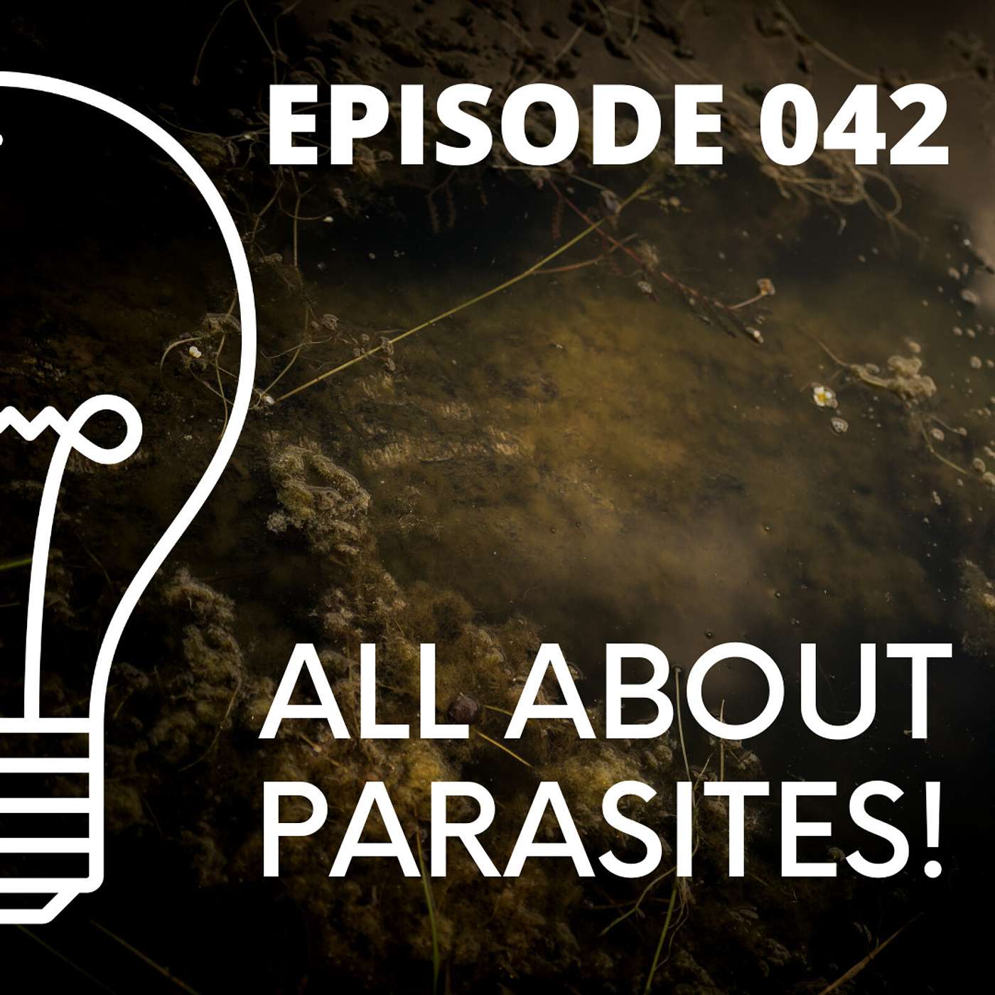 042 - All About Parasites!!