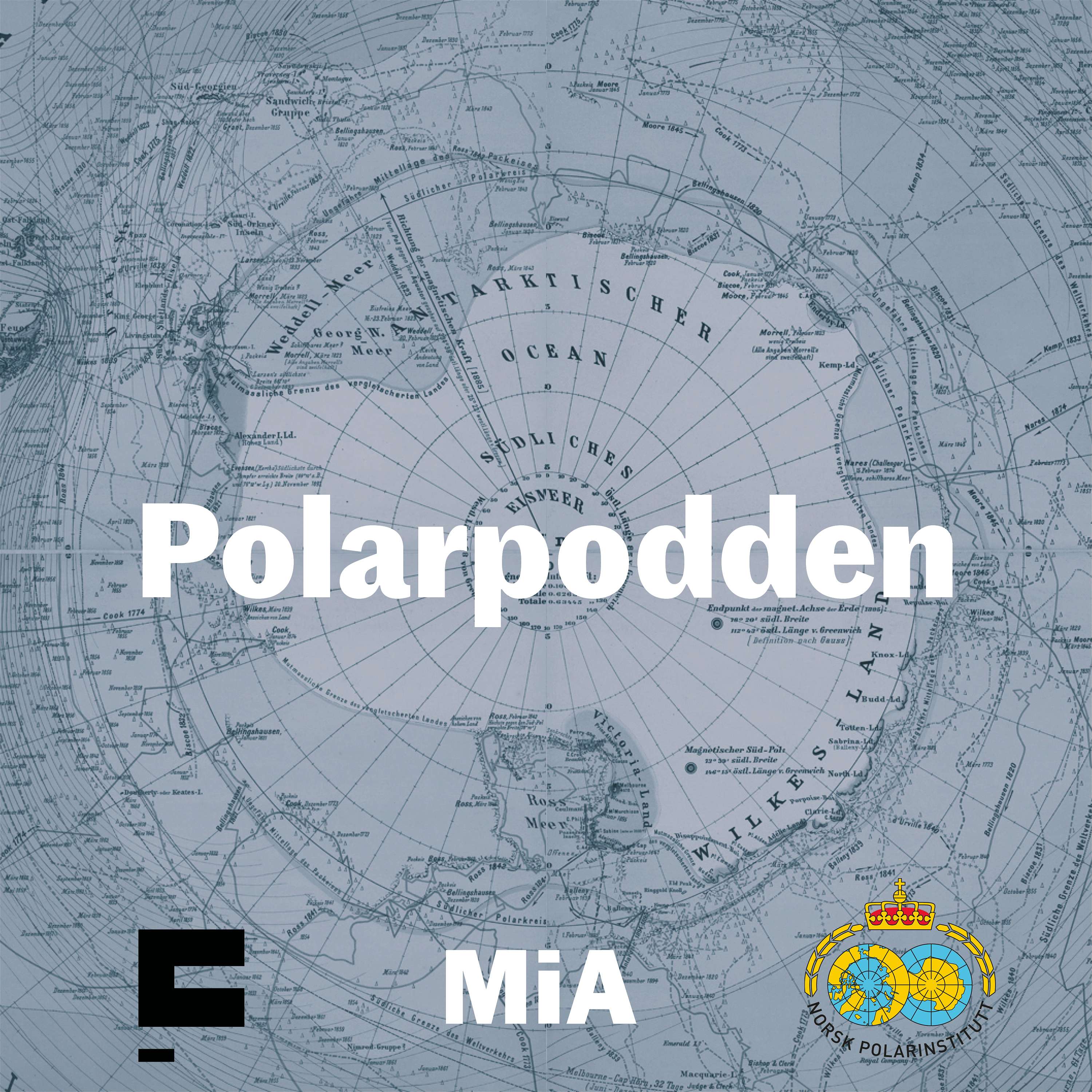 Polarpodden