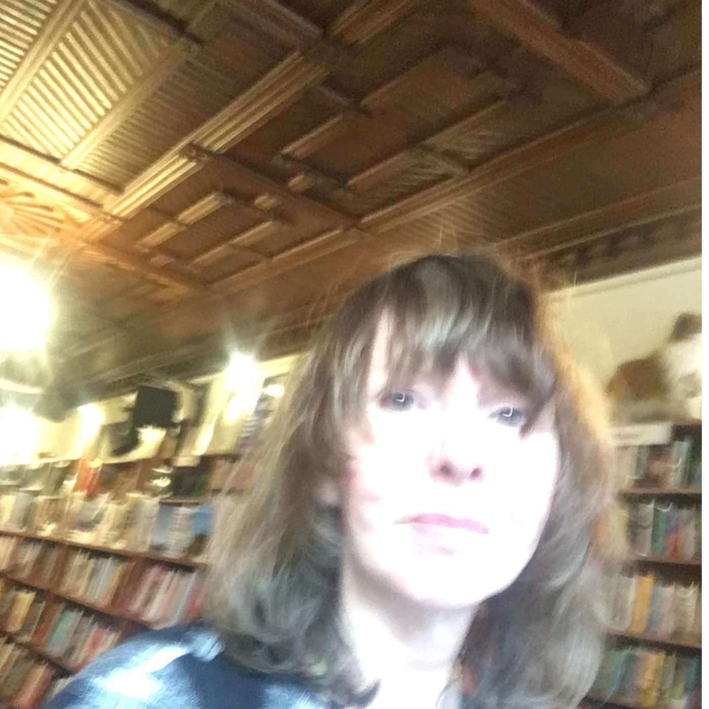 Diary Of Amy Rigby