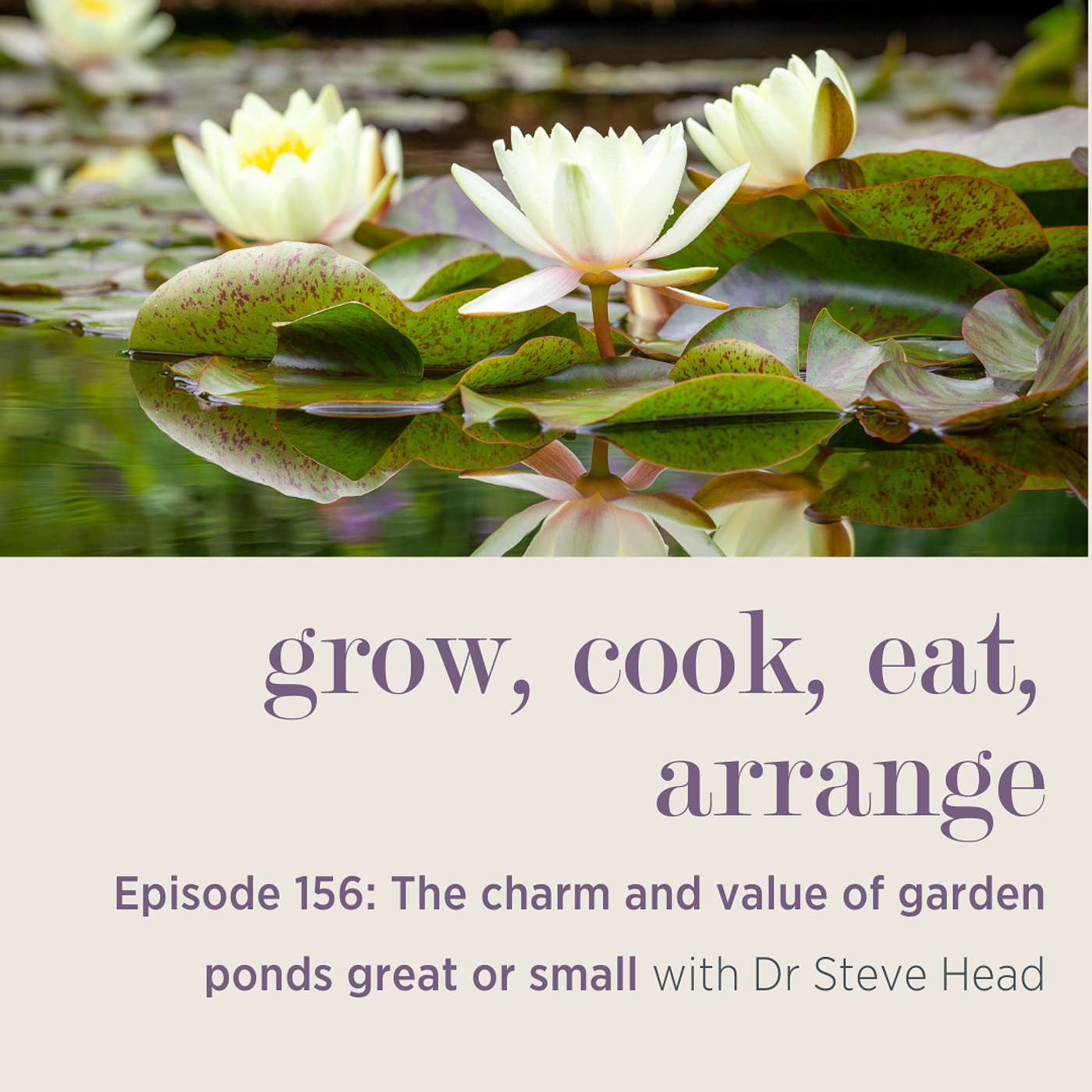 cover of episode The Charm and Value of Garden Ponds Great or Small with Dr Steve Head - Episode 156