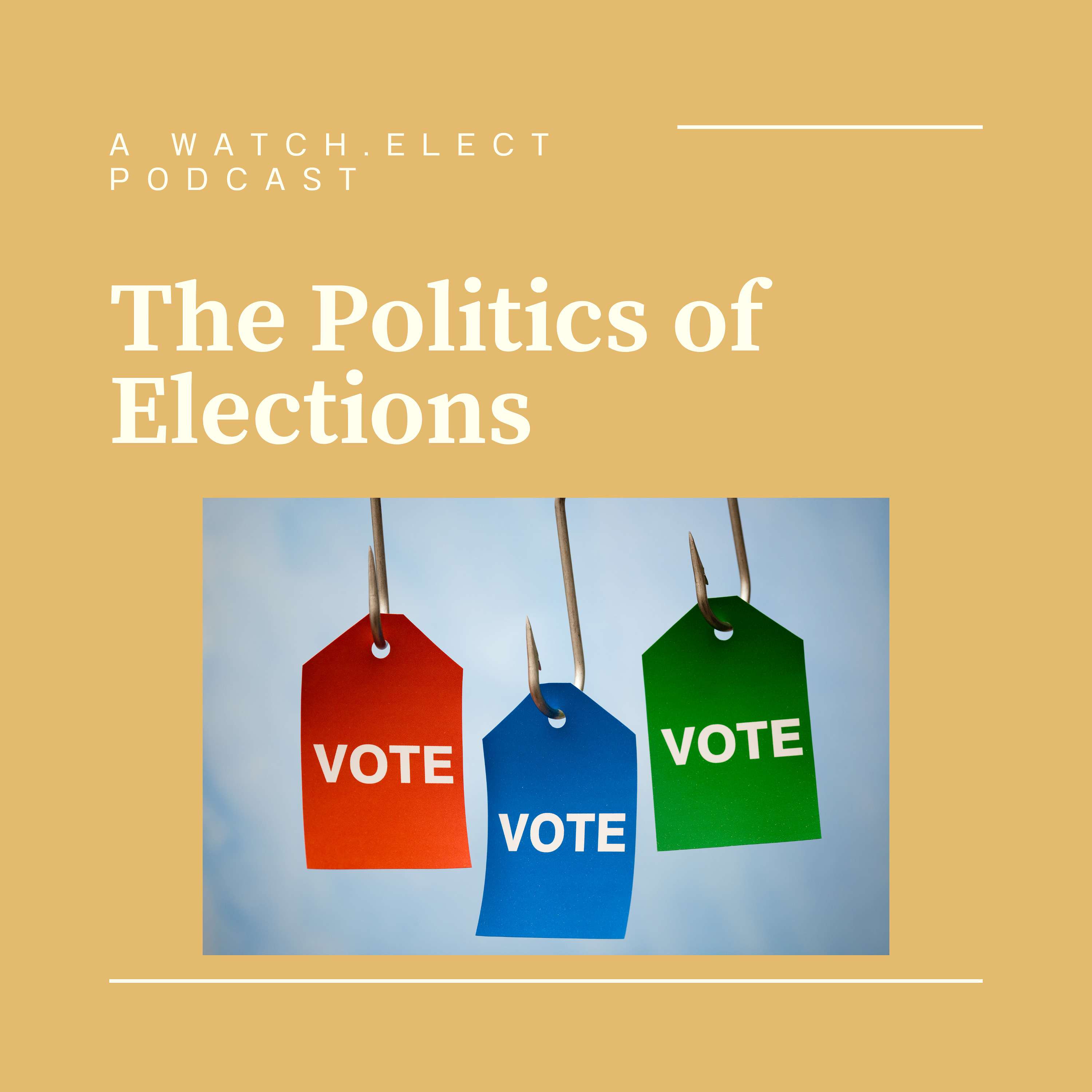 The Politics of Elections