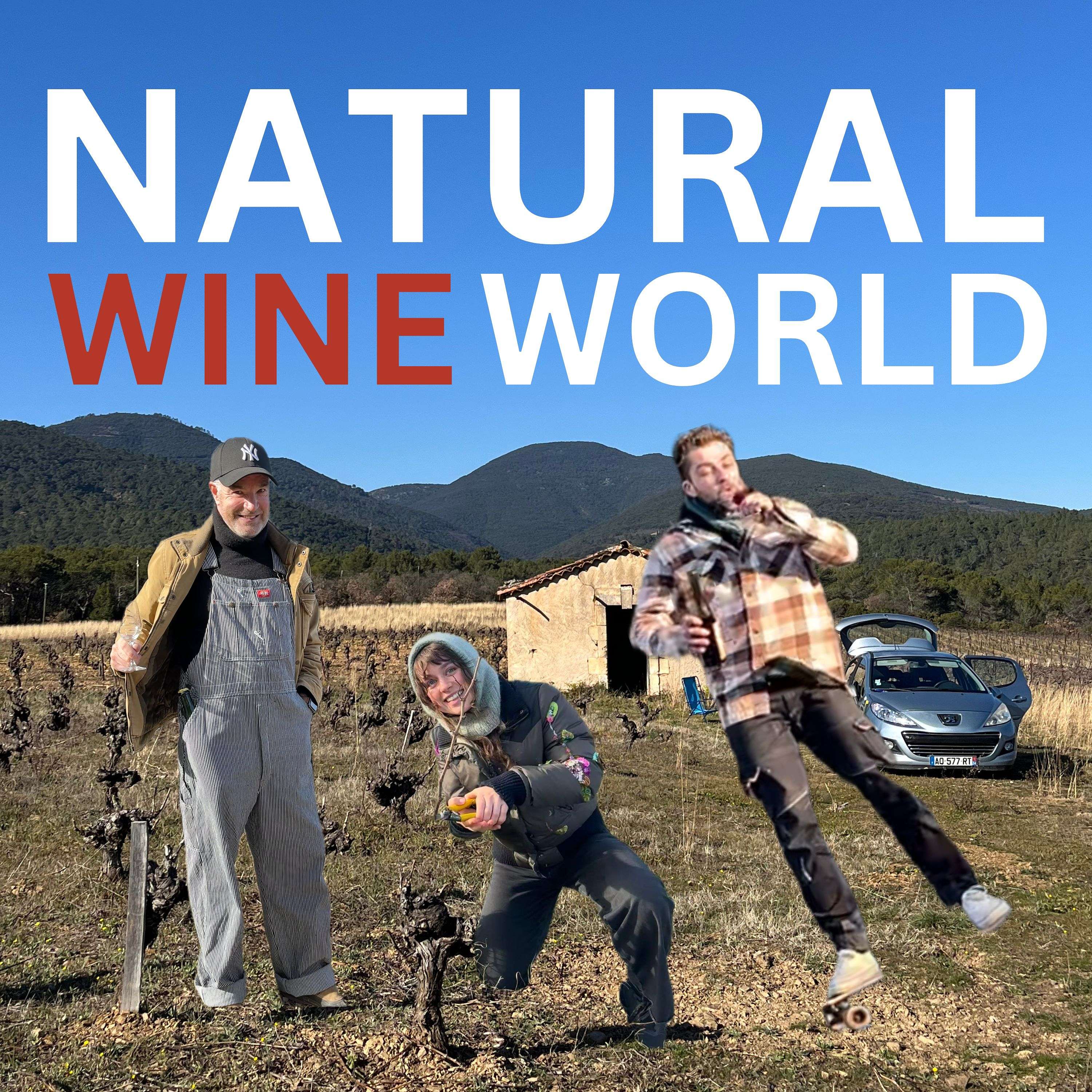 Natural Wine World podcast artwork