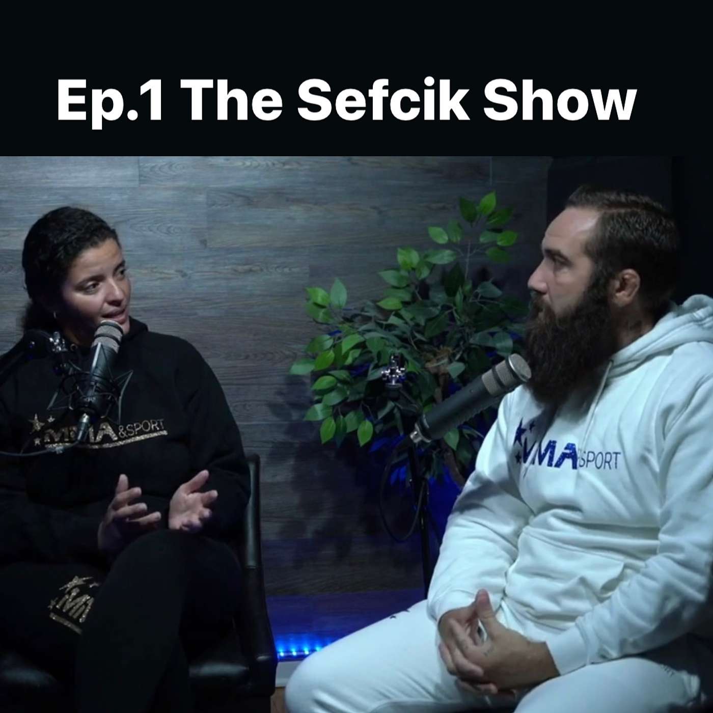 The Sefcik Show
