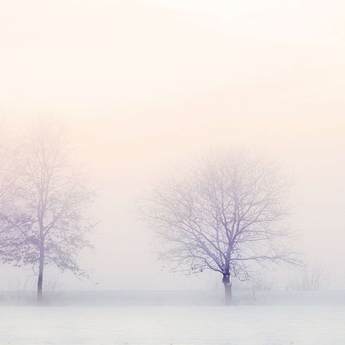 Heaven on Earth Mini Meditations