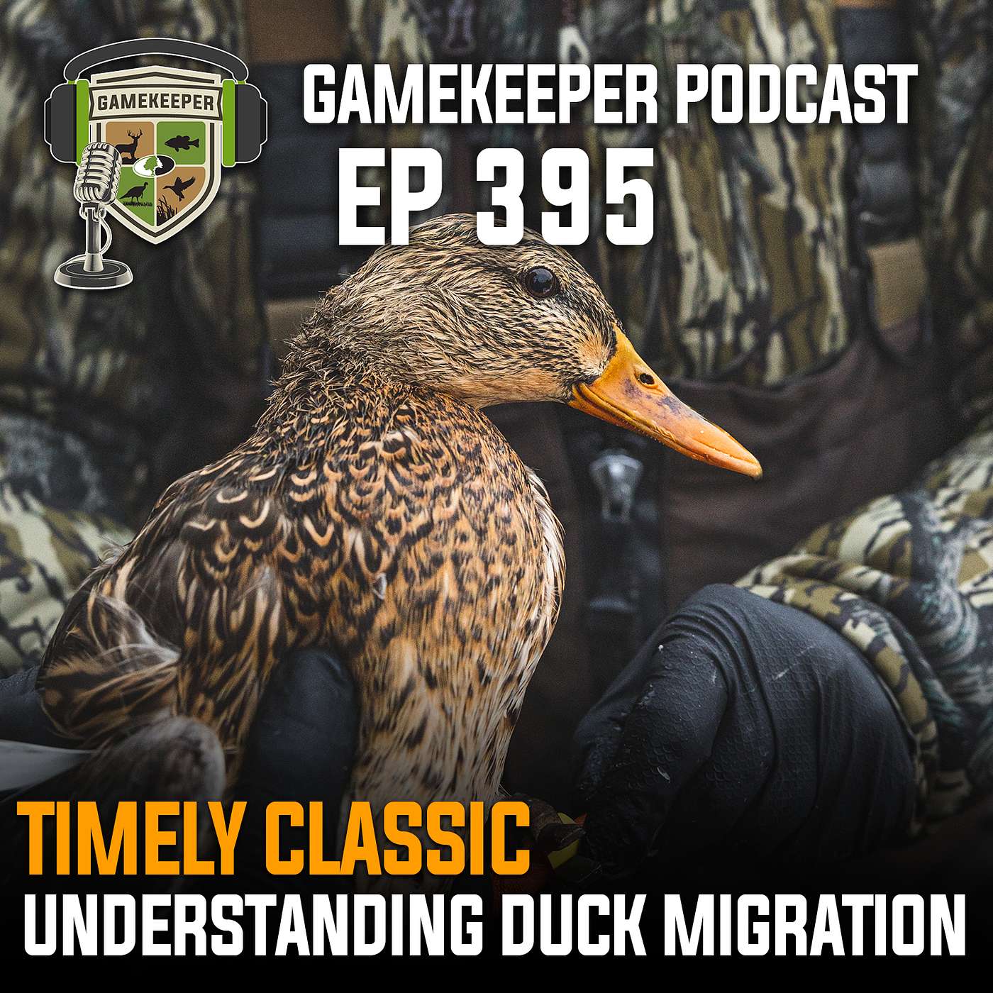 EP:395 | [Timely Classic 119] Understanding Duck Migration