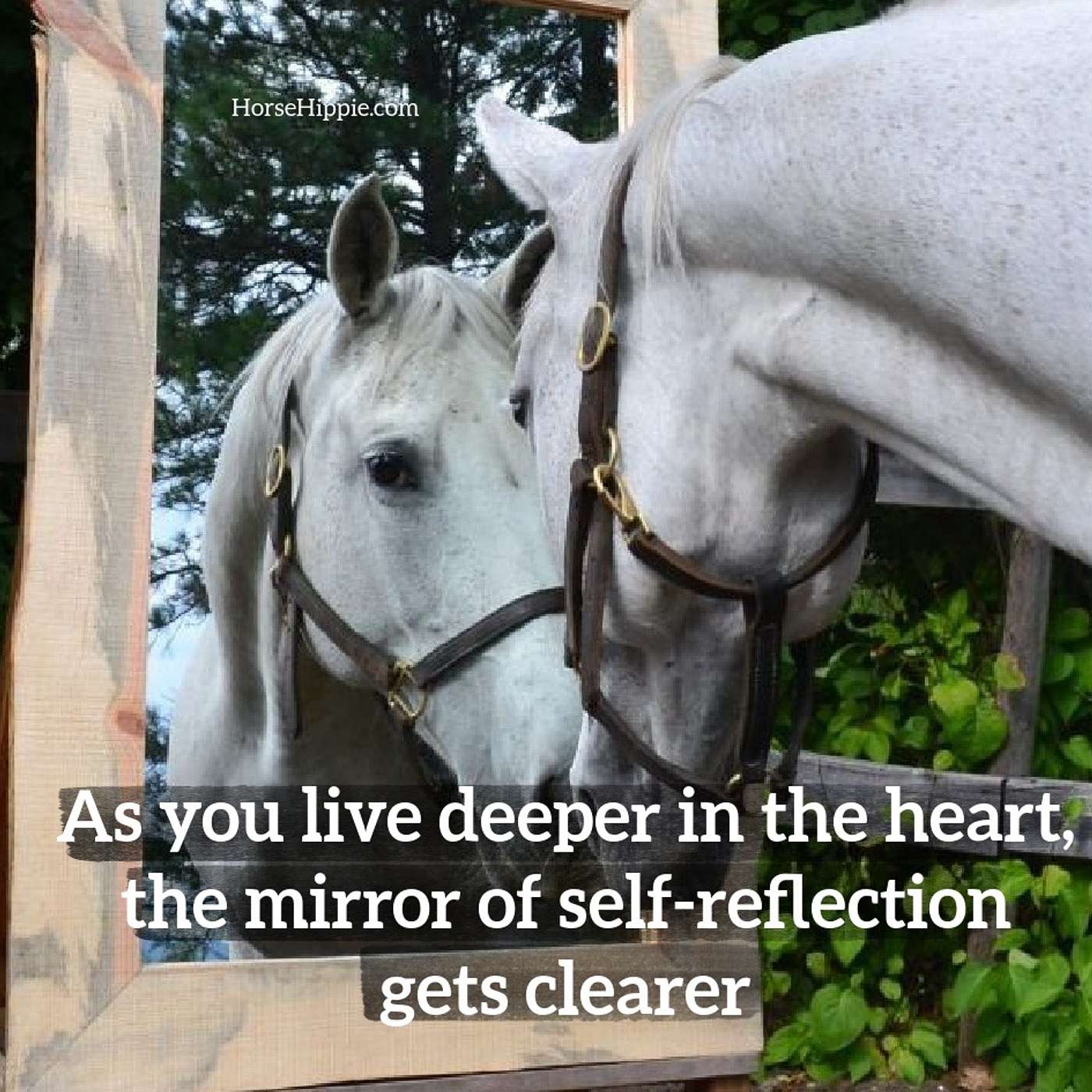 See Yourself Clearly See Yourself Clearly