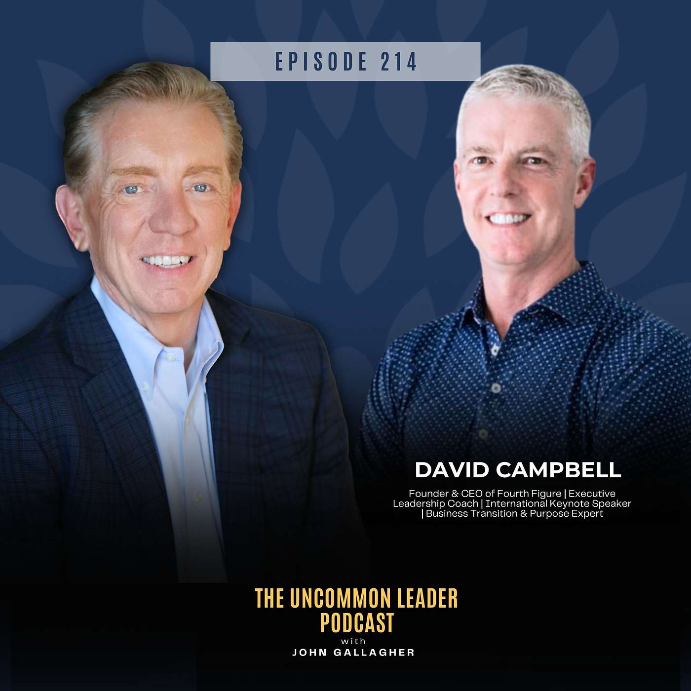 Episode 214: I Left a 33-Year Career to Find My Purpose- David Campbell’s Story episode artwork