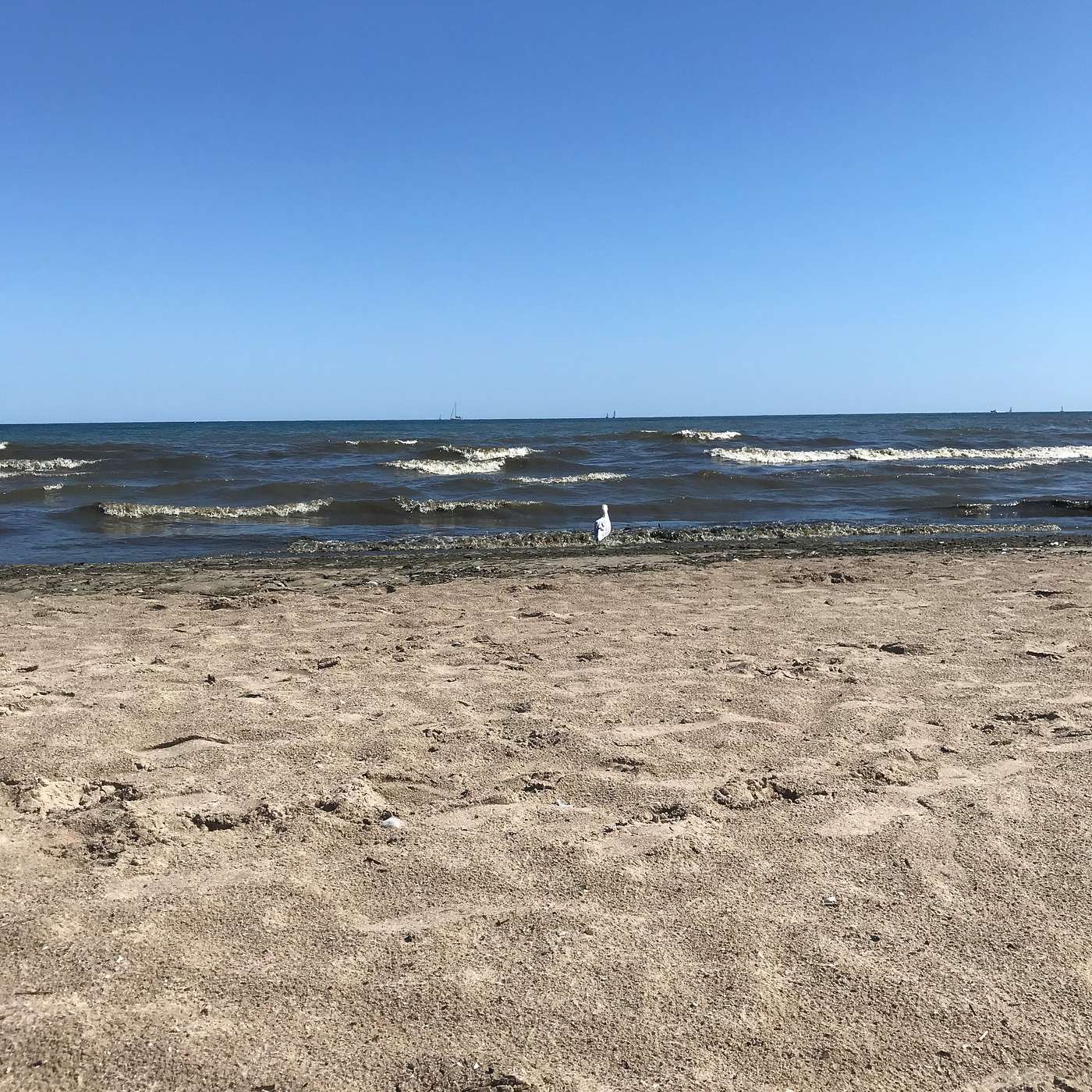 Detour, Ontario Beach on Lake Ontario, August 14, 2021