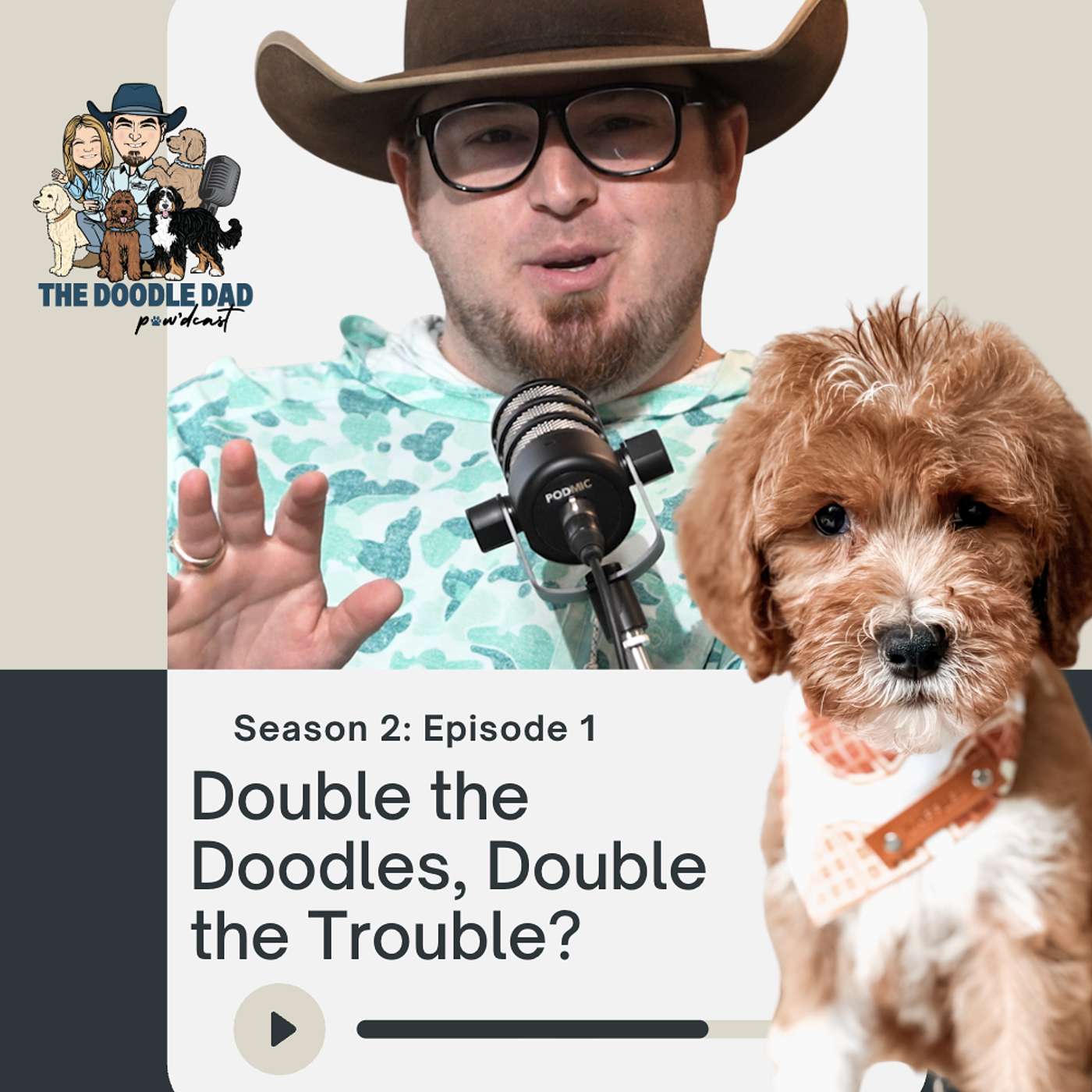 Double the Doodles, Double the Trouble? Justin Breaks Down the Multi-Dog Home episode artwork